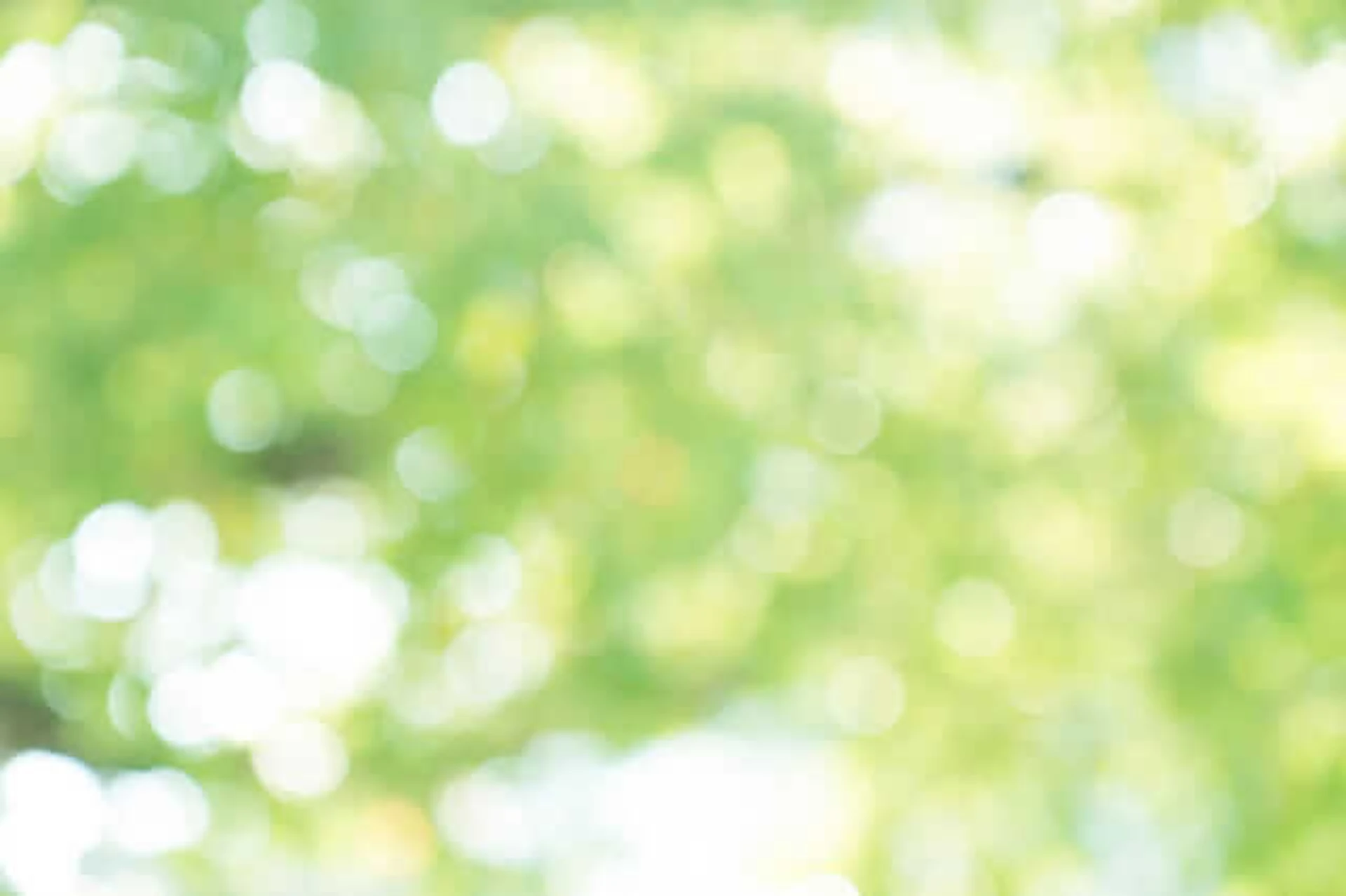 ほっカラリ床の3つのシリーズ