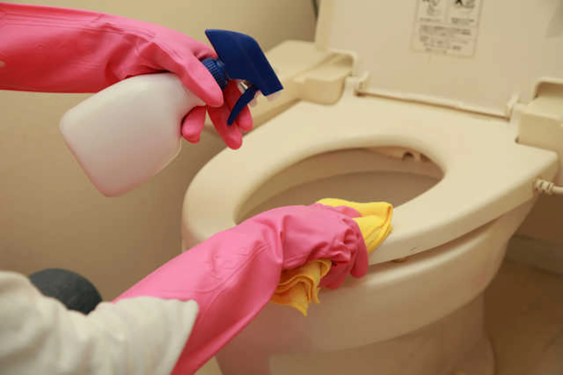 便座の汚れの原因と掃除方法