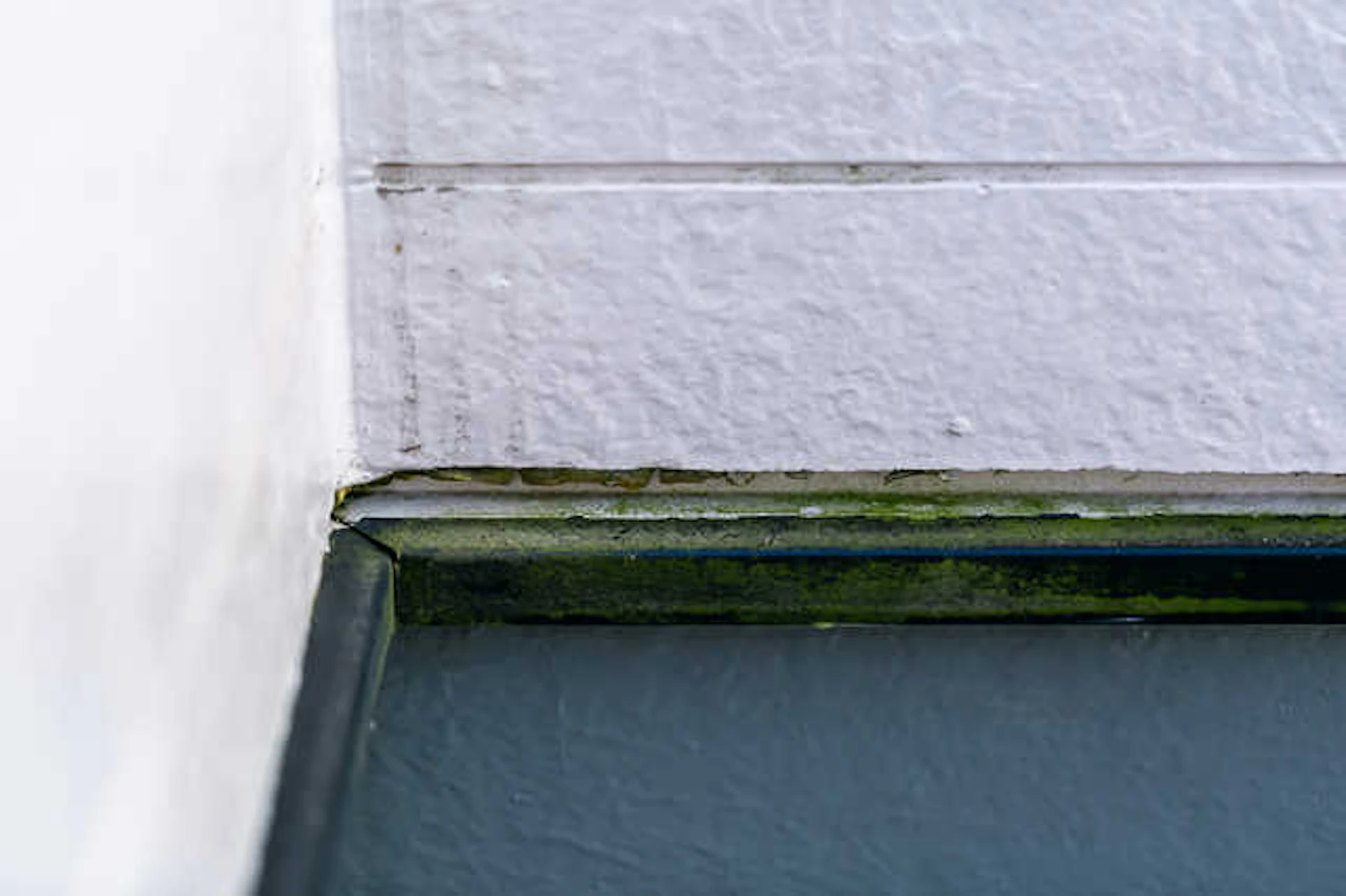 塗膜や防水層のひび割れ・剥がれ・ふくれ