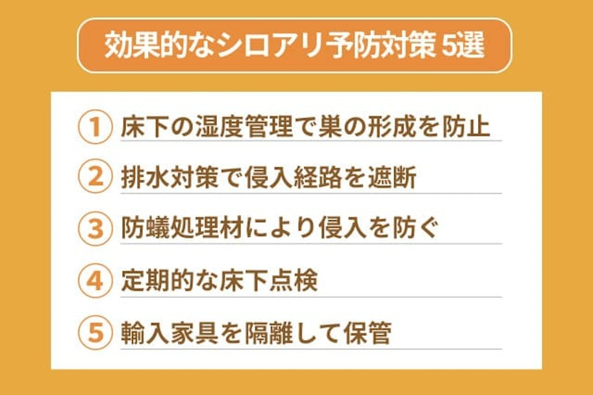 効果的なシロアリ予防対策 5選