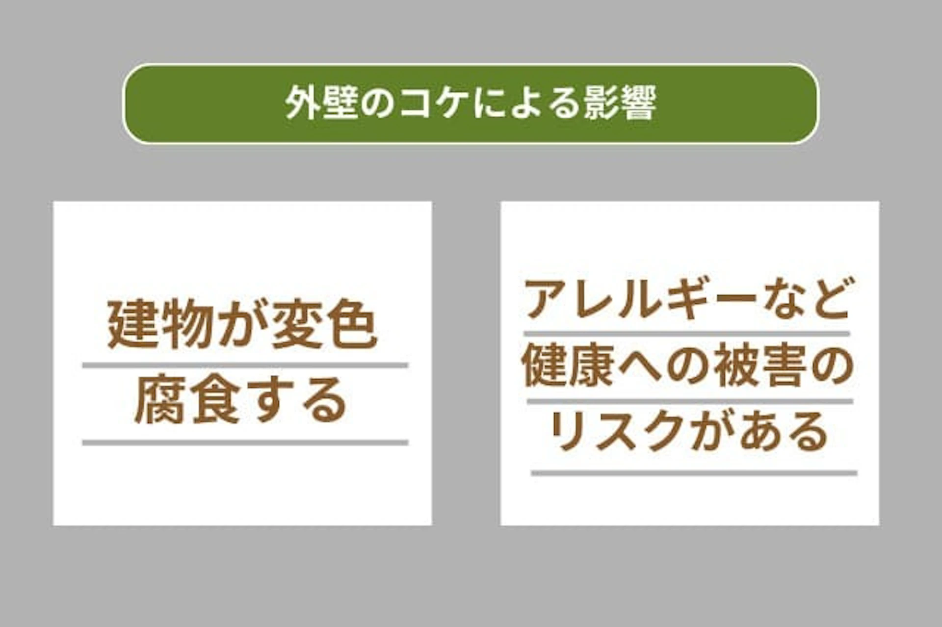 外壁のコケによる影響