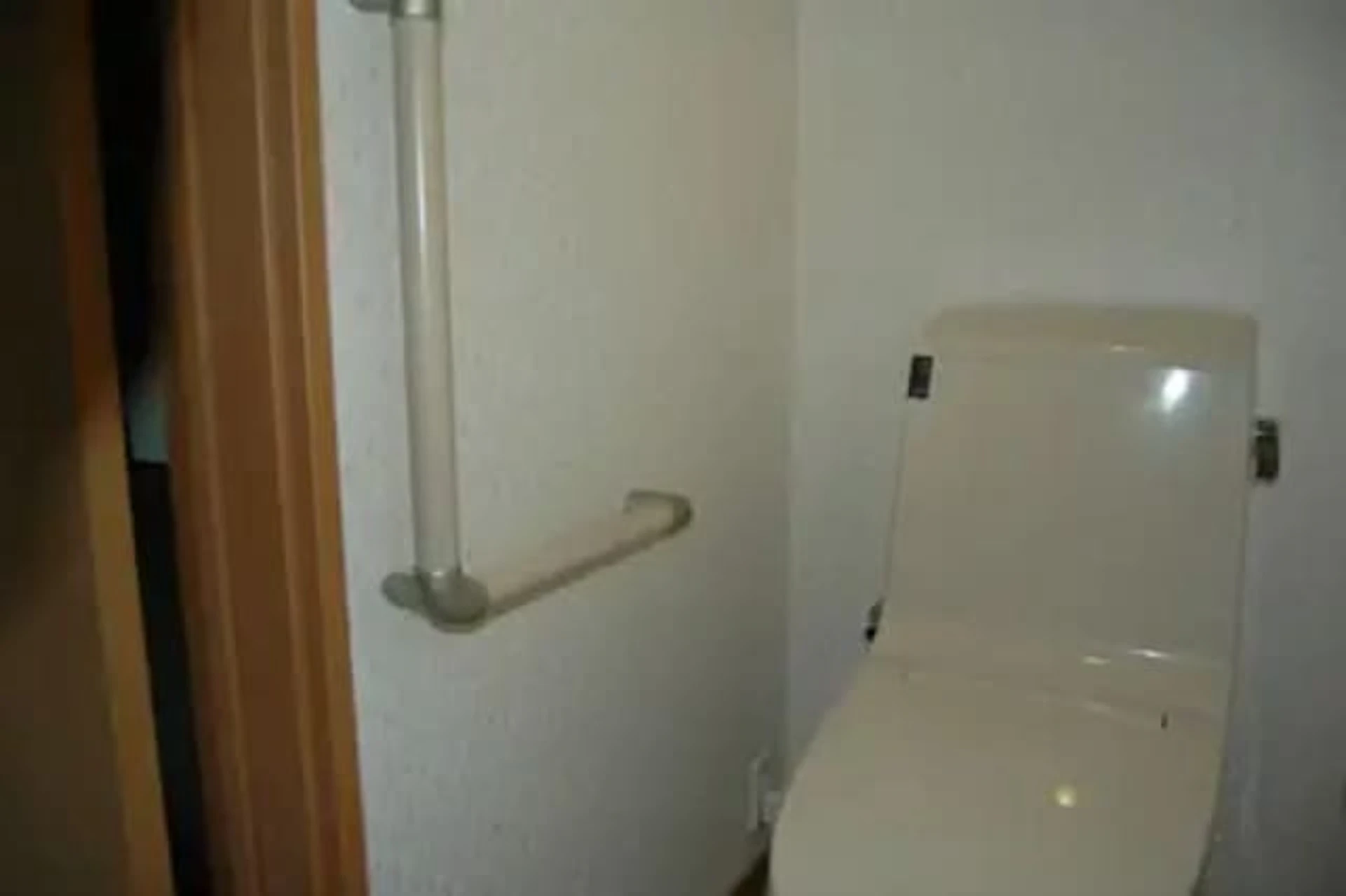 浄化槽を設置し、トイレ・外壁などを全面リフォーム 事例/リフォーム後 トイレの写真(白を基調としたトイレ、手すり付き)