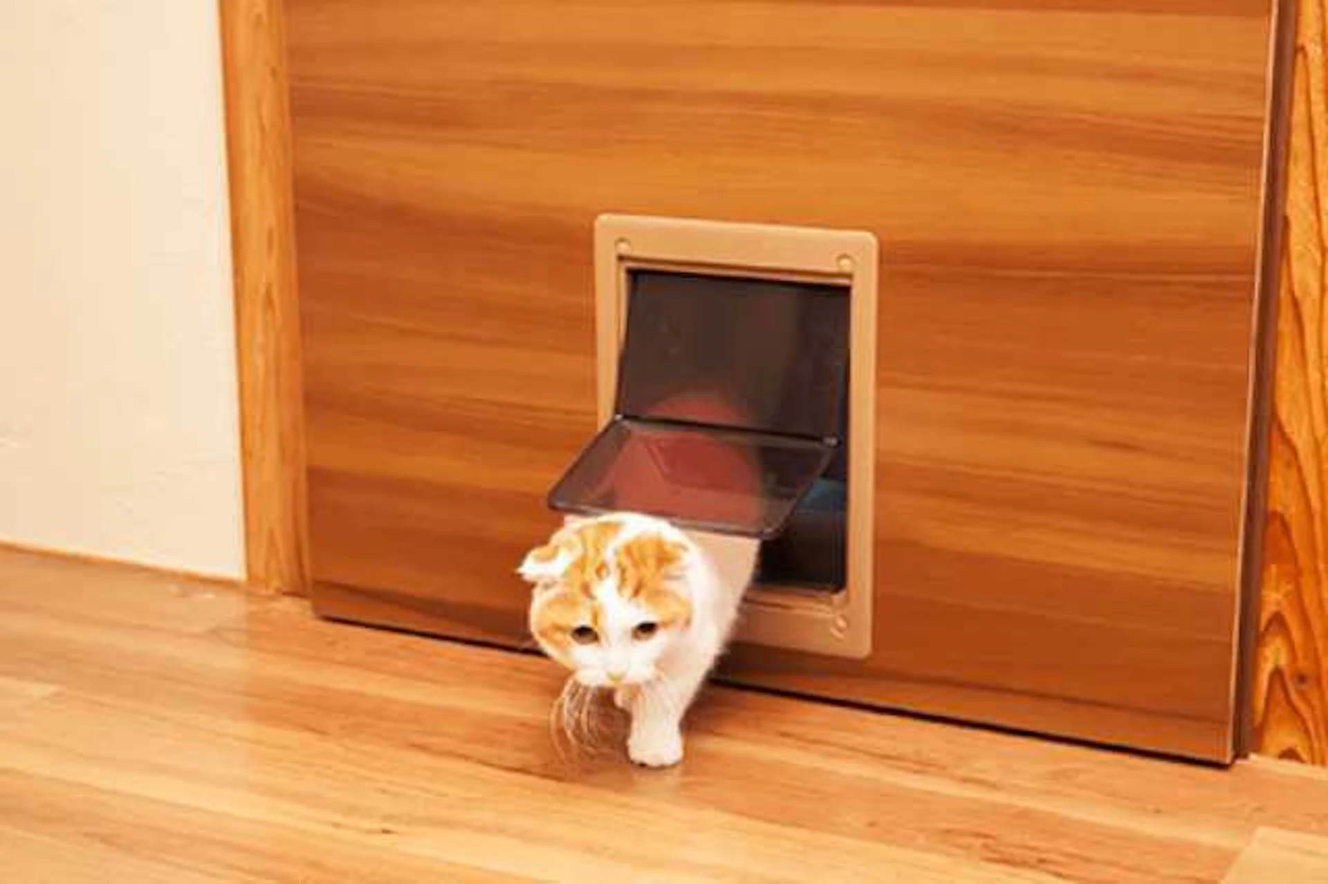 ペット用ドアで出入りしやすく