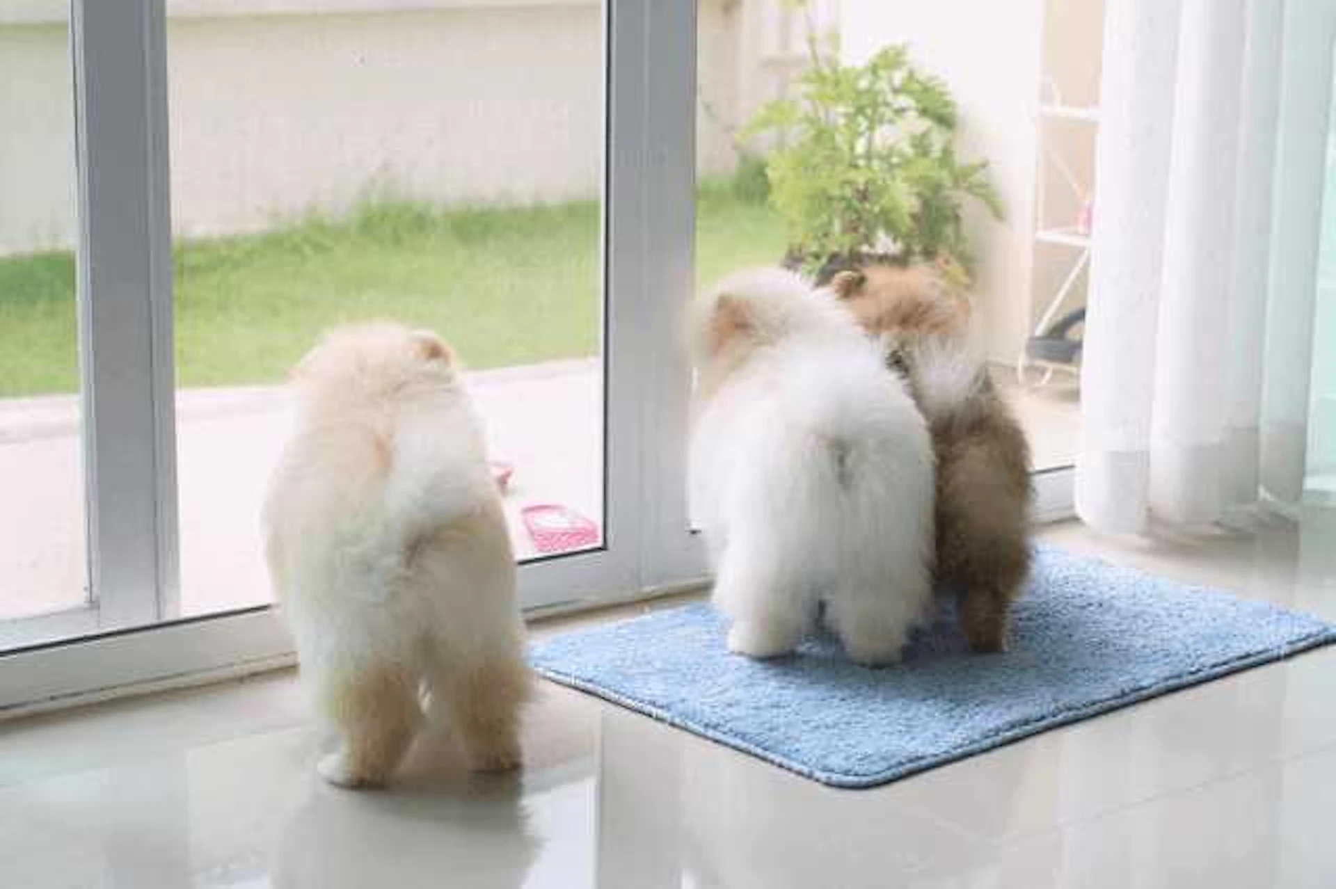 工事中のストレス・騒音・飛び出しやケガに注意