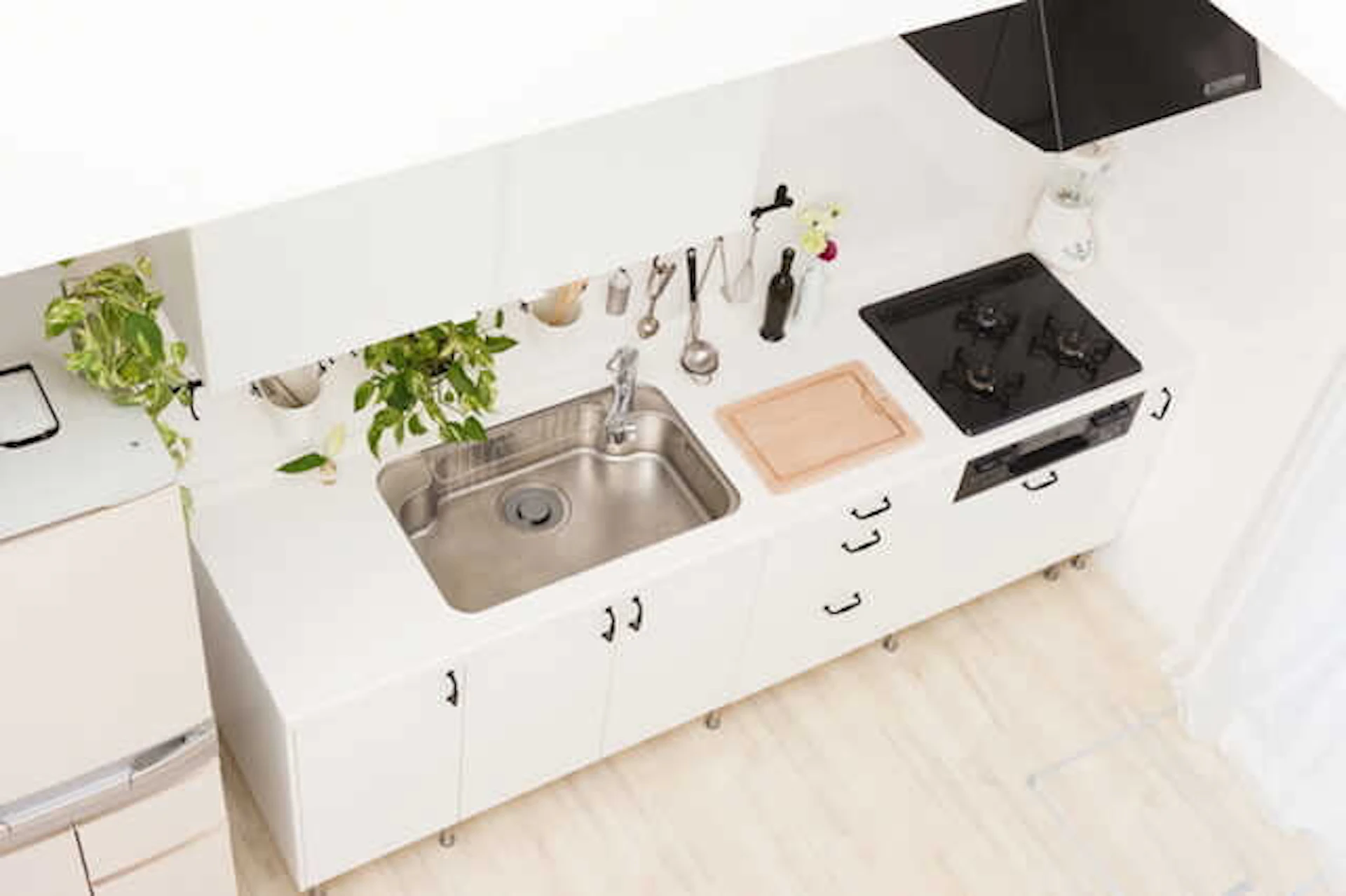 キッチン 観葉植物