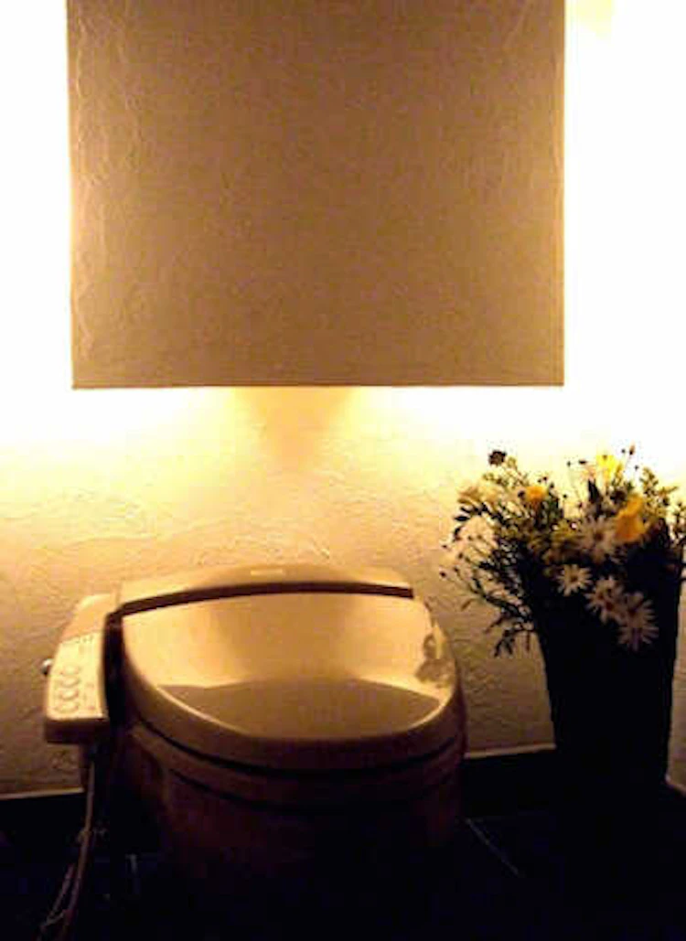 ウォシュレット(温水洗浄便座)取り付けのポイント【日本の家庭の7割が使っている!】