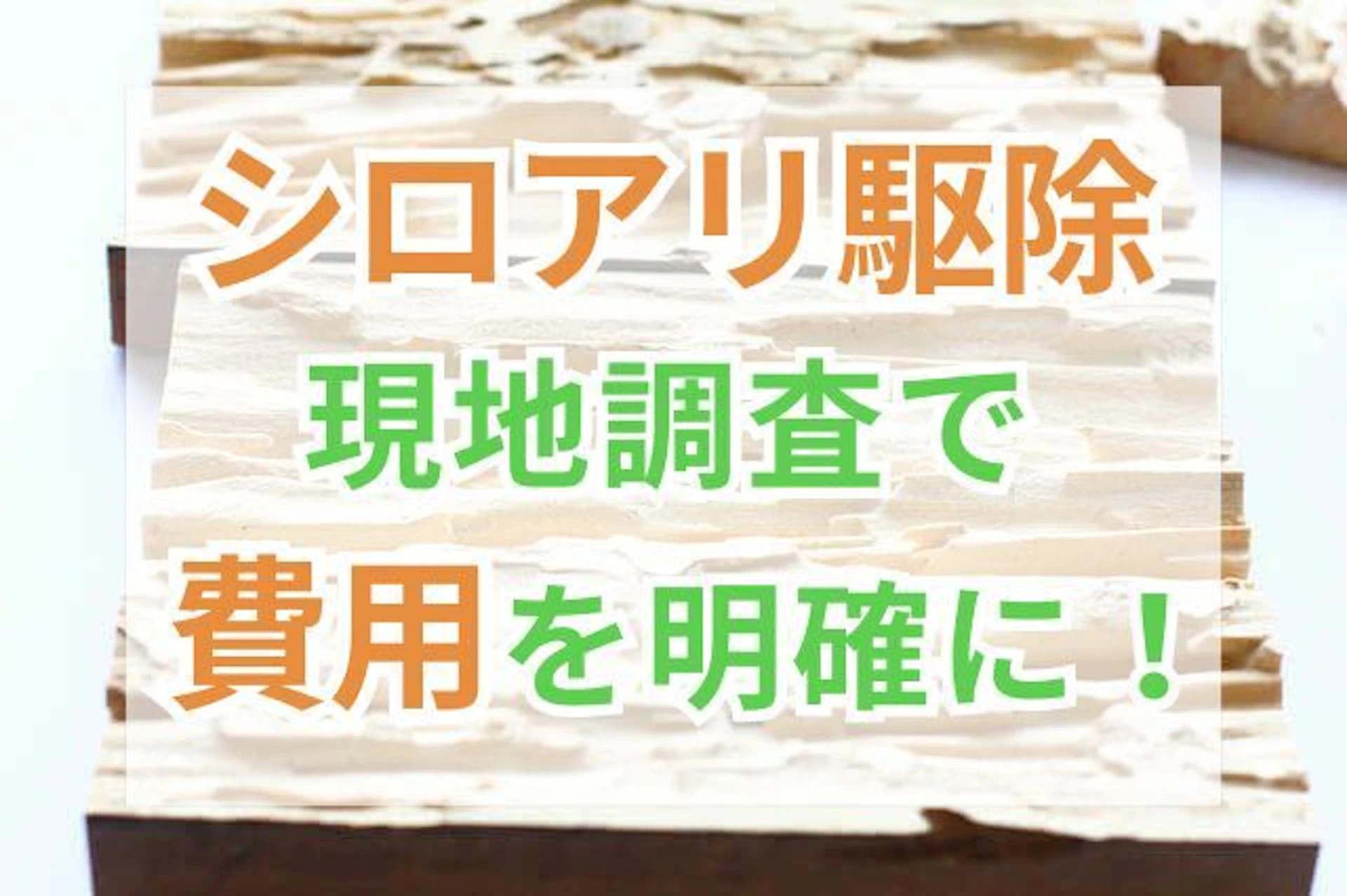 サムネイル:シロアリ駆除&予防の費用相場!診断・調査は無料でできる?