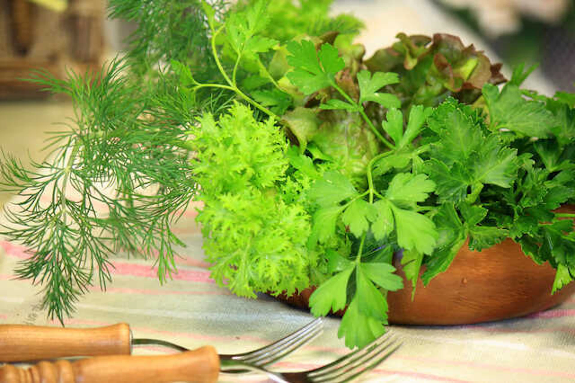 サムネイル：メリットたくさん！庭やベランダで簡単に育てられるおすすめハーブ7選♪