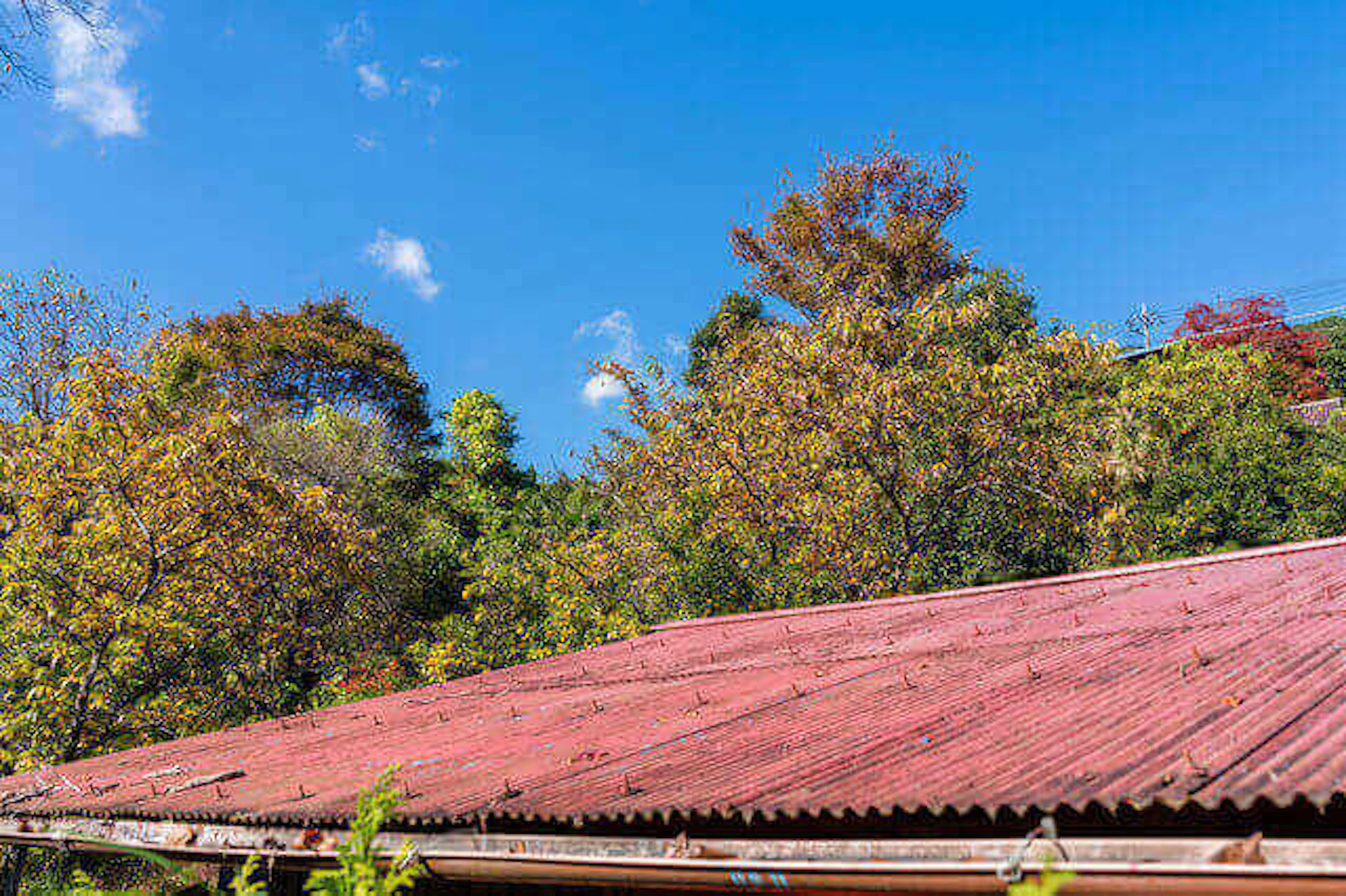 トタン屋根のリフォームは、張り替え(葺き替え)が基本