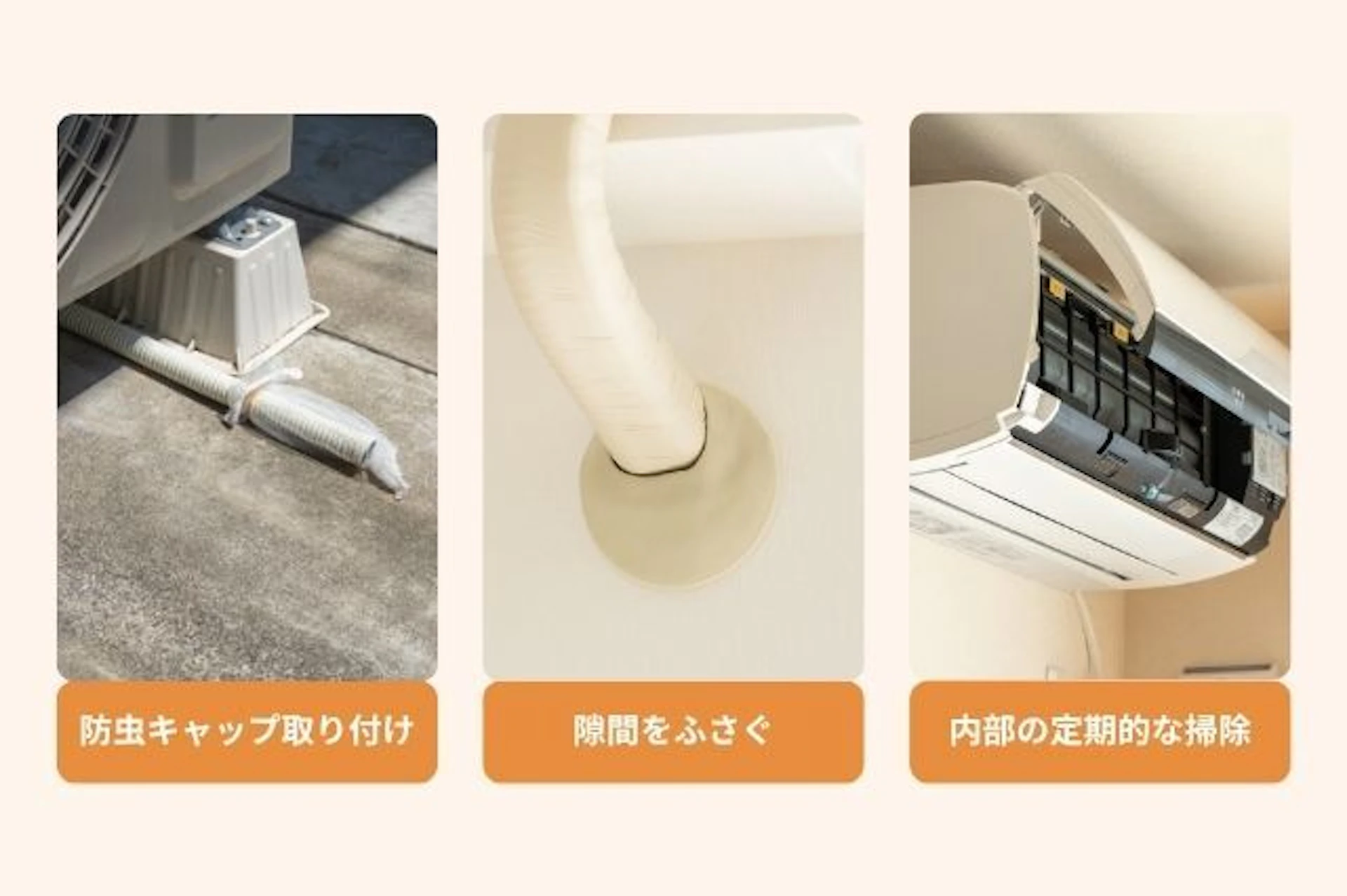 今すぐ実践できるゴキブリ侵入防止対策