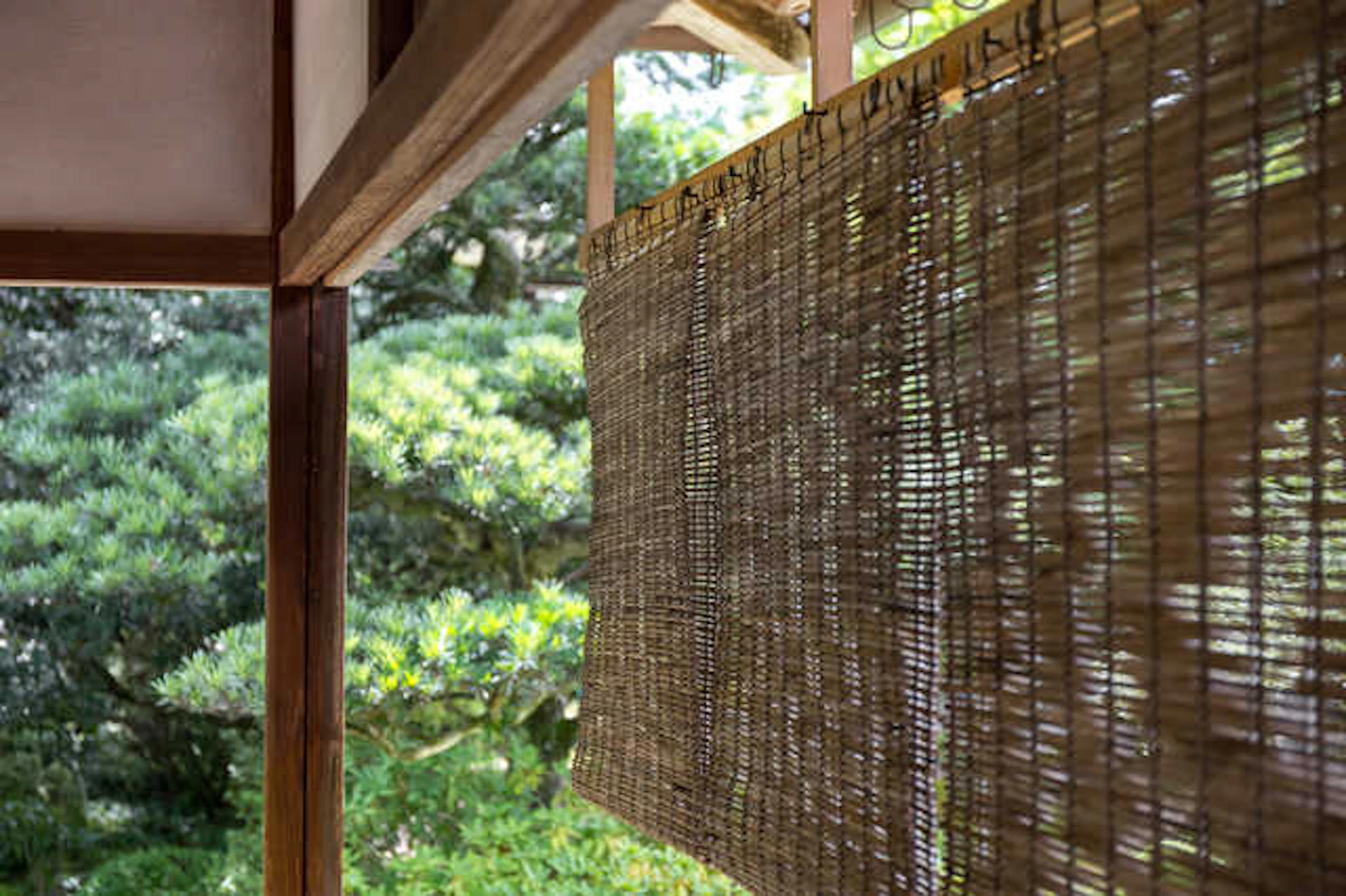 サムネイル:【ちょこっとDIY】あっつ〜い夏に向けて!”すだれ”活用で涼しく過ごす方法とは?