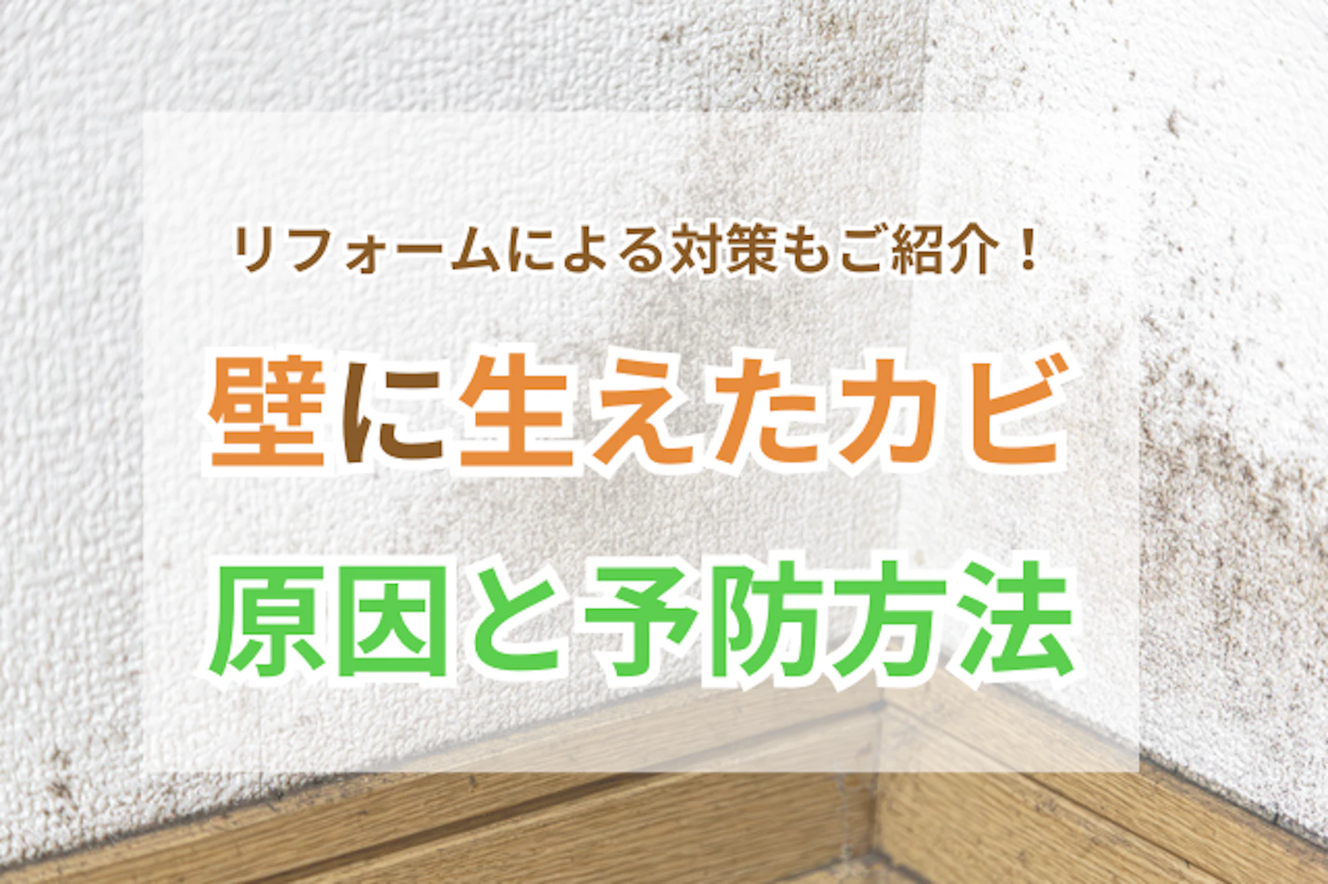 壁のカビ除去方法は？リフォームによる対策もご紹介！