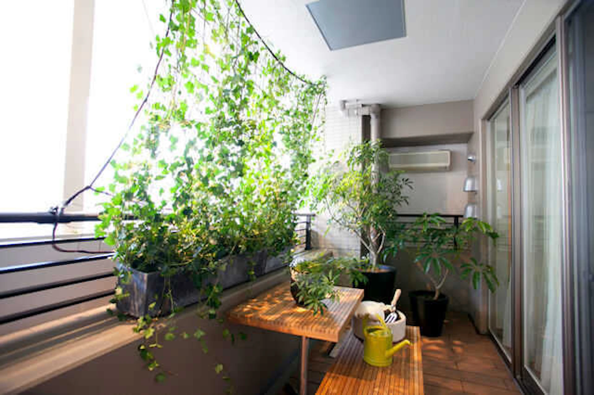 ベランダの特徴