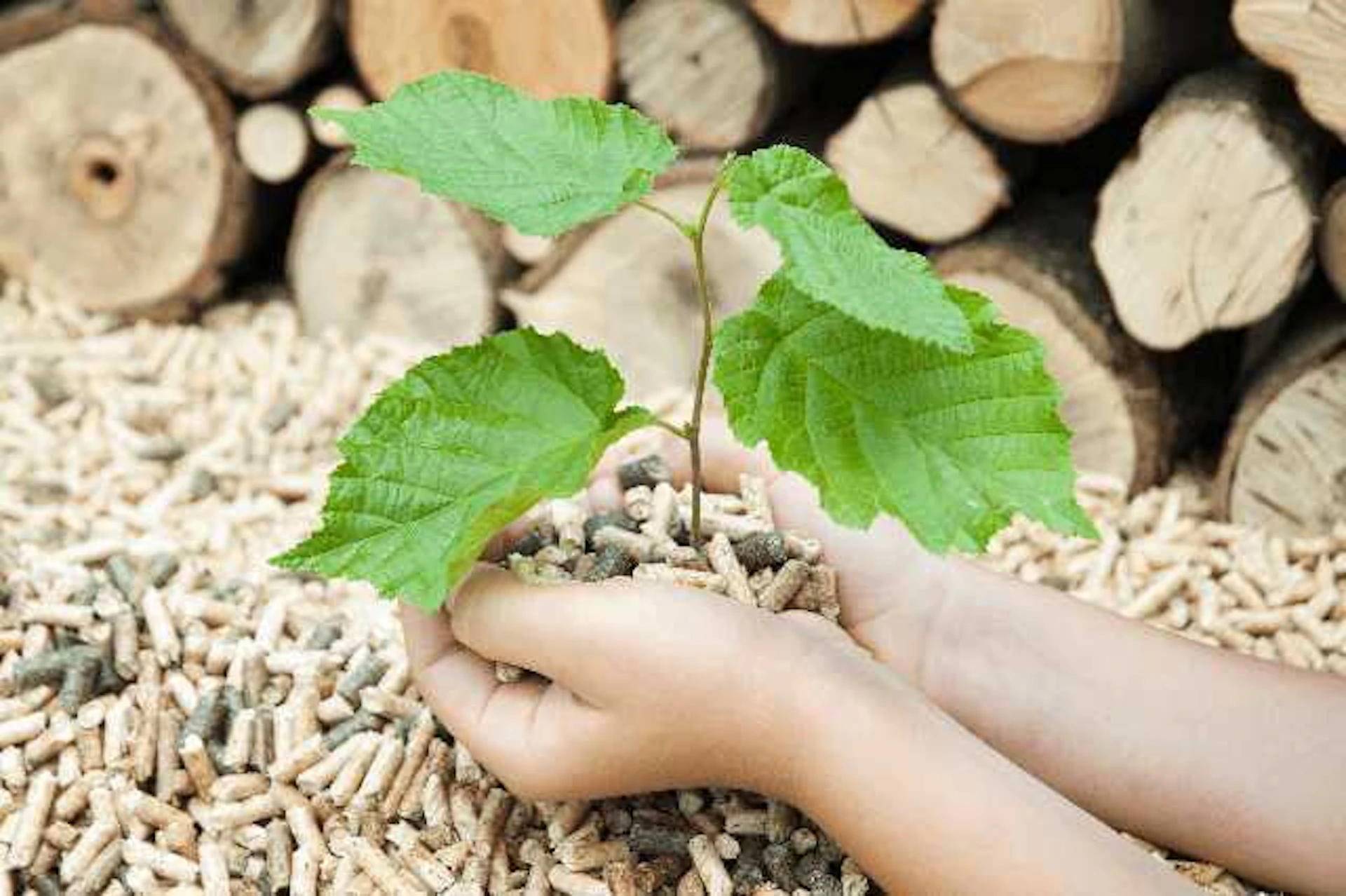 薪ストーブやペレットストーブの設置・購入時は補助金(助成金)を利用しやすい