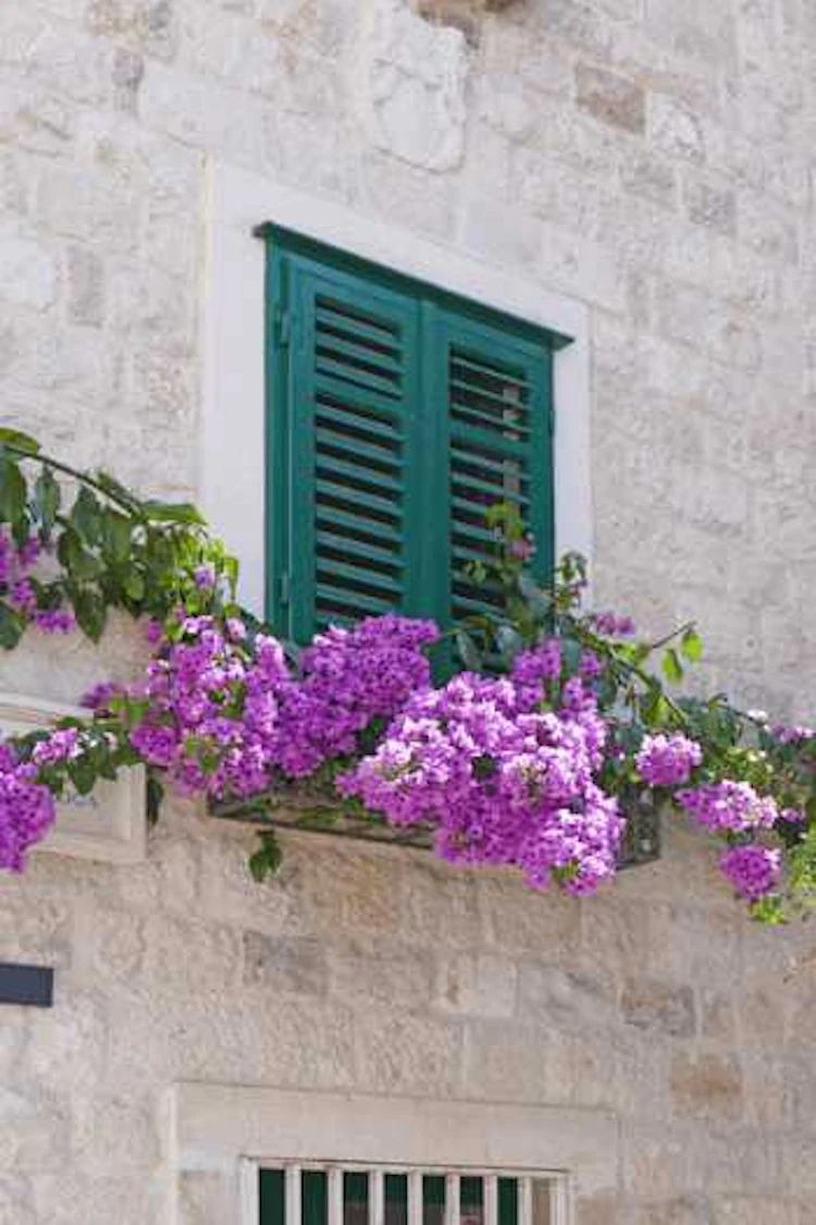 一度は憧れる♪南欧風の家の外観・外構にするための10のポイント