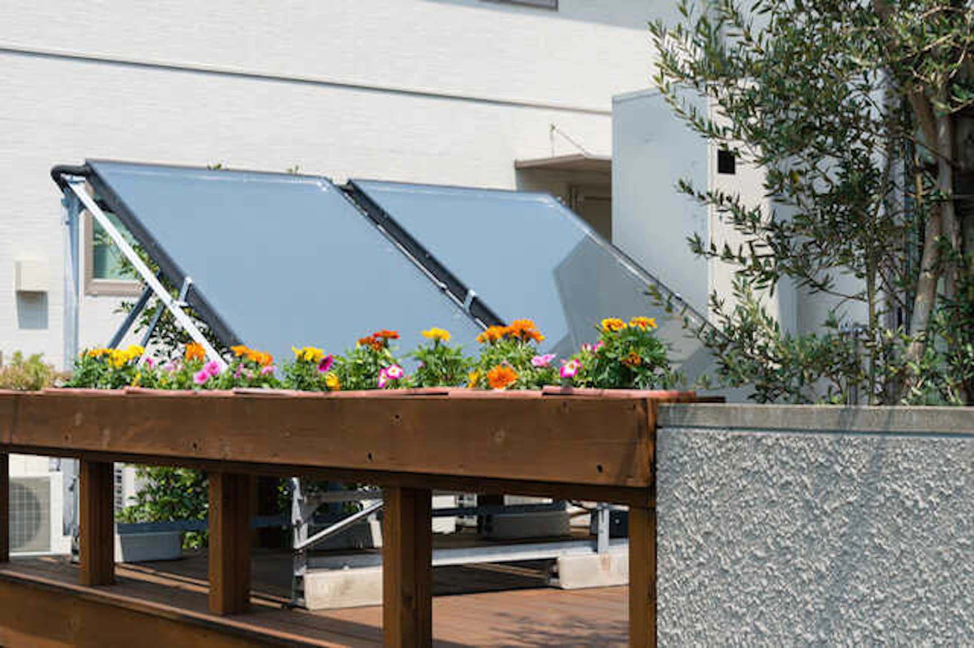 風雨により劣化が早い