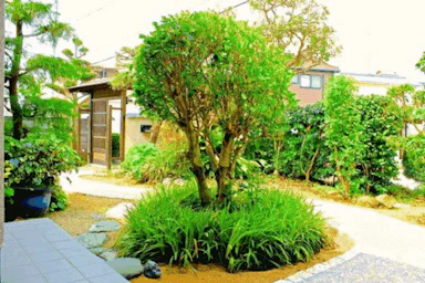 木の温かみが魅力のエクステリアリフォーム