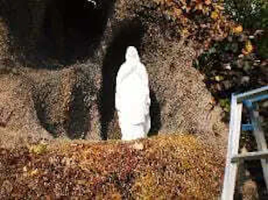 【約30万円】聖ドミニコ学園マリア像塗装工事