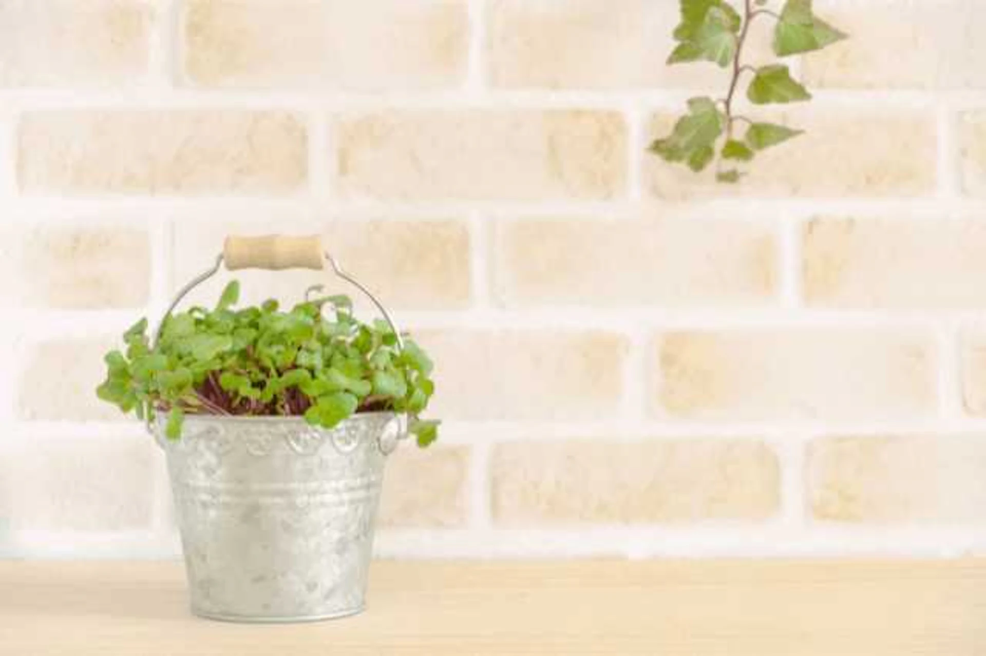 レンガ調の壁紙のコーディネート例8選+α!リフォーム価格は?