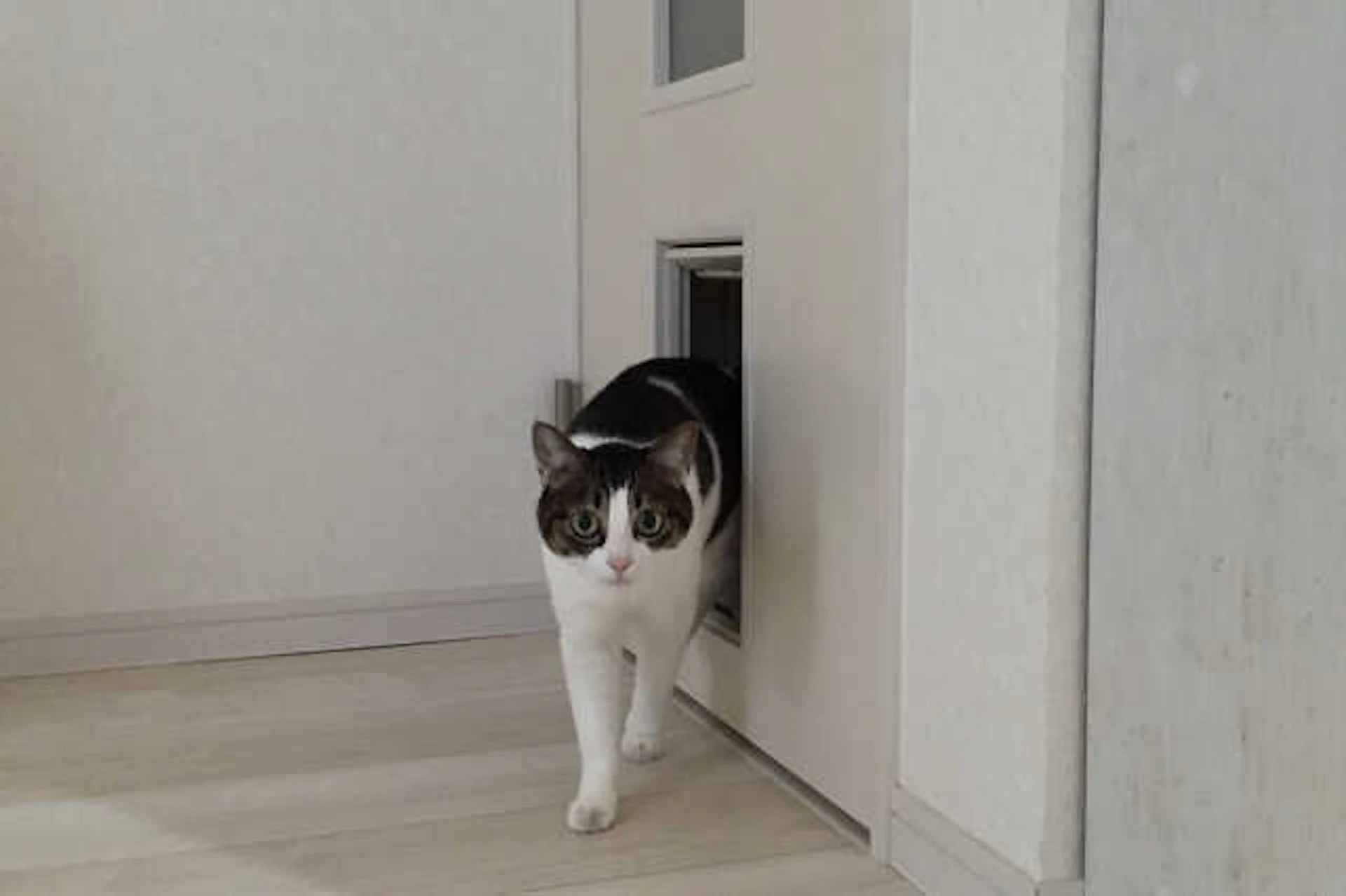 【ドア/建具】のおすすめリフォーム