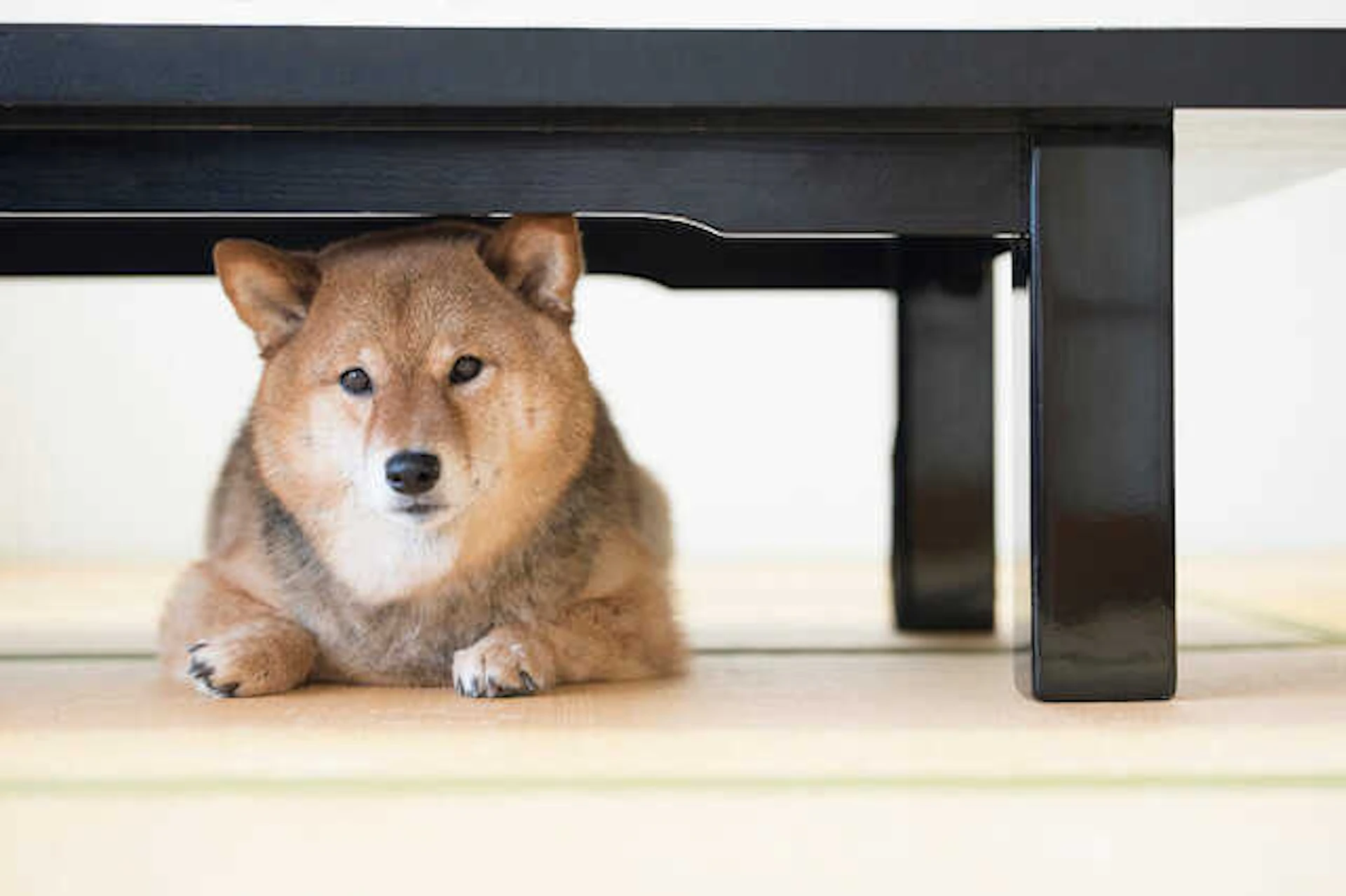 【和紙の畳・壁紙はこんな部屋におすすめ!】