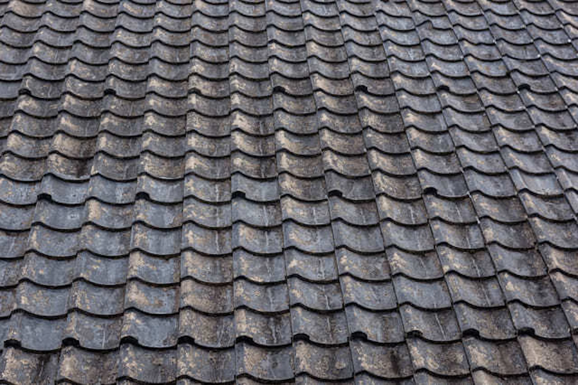 セメント瓦の見分け方