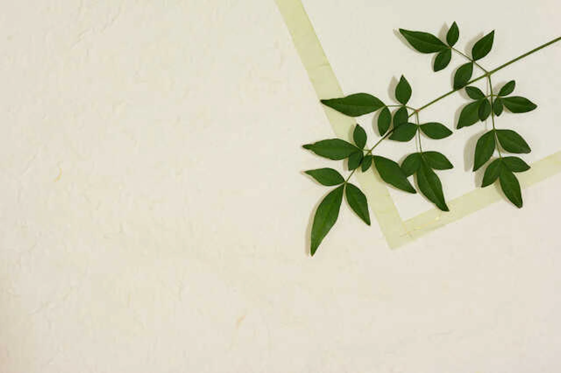 ⑥和紙(畳・壁紙)のメリット・デメリット・価格