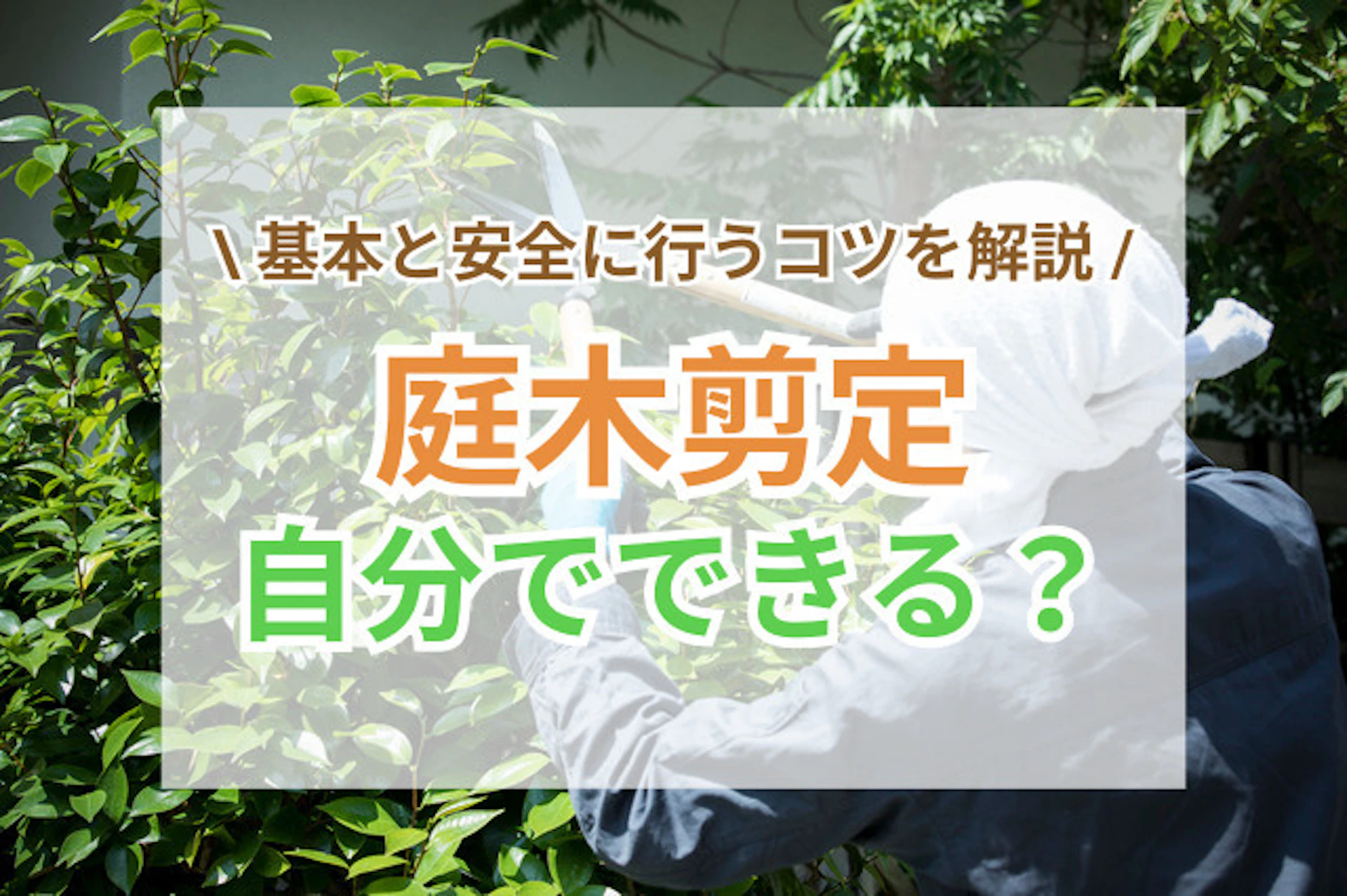 サムネイル:庭木の剪定は自分でできる?基本と安全に行うコツを解説