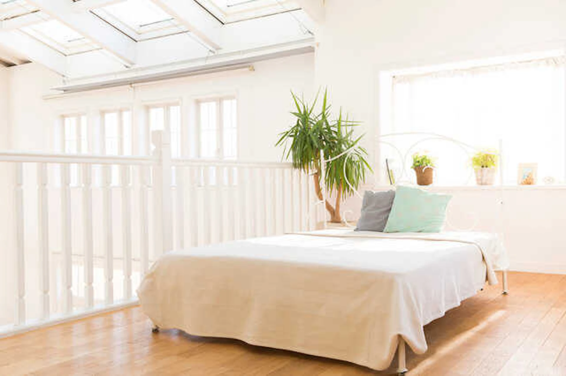 憧れの"天窓(トップライト)" がある暮らし♪優しい光が魅力的