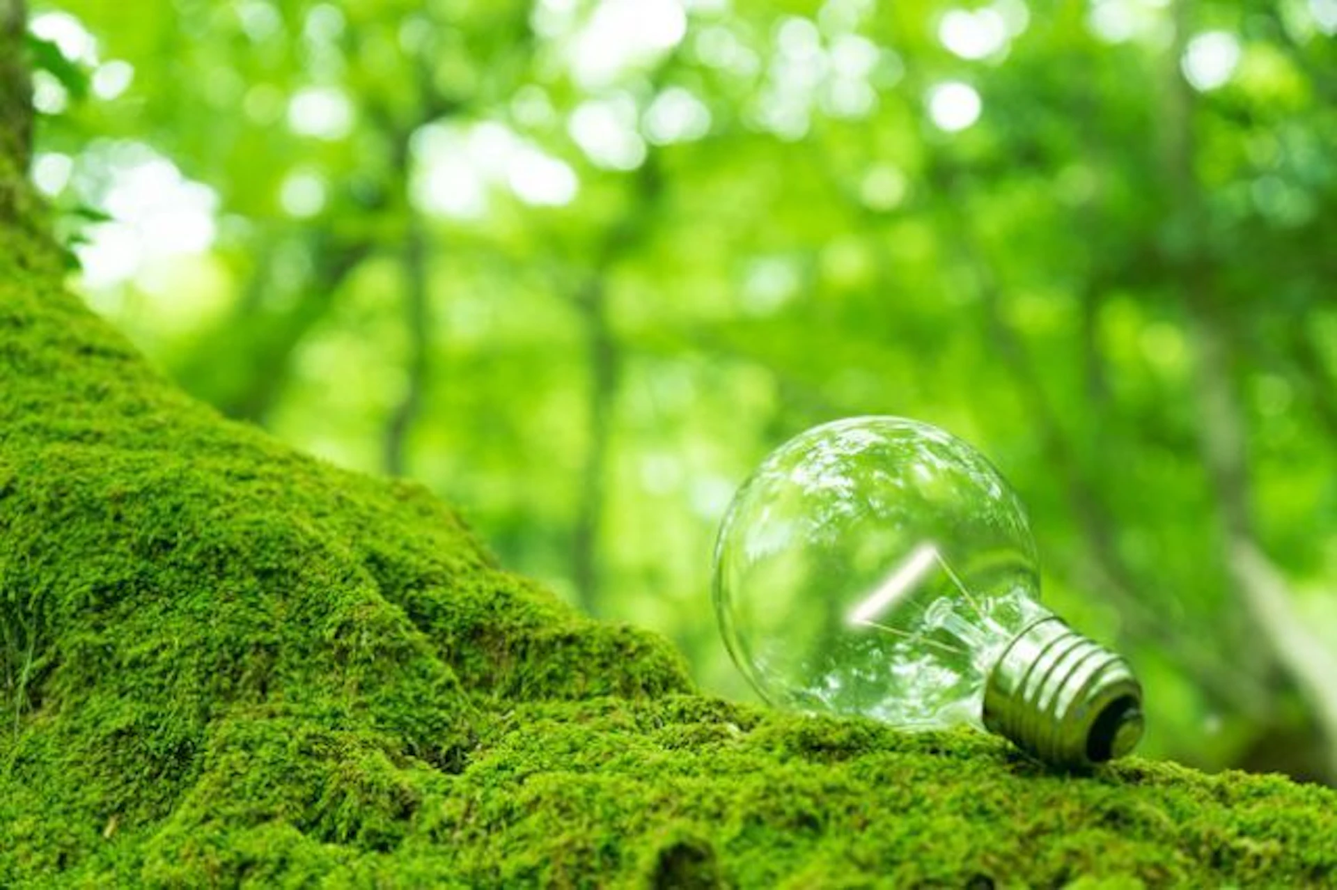 ソーラーカーポートの節電効果