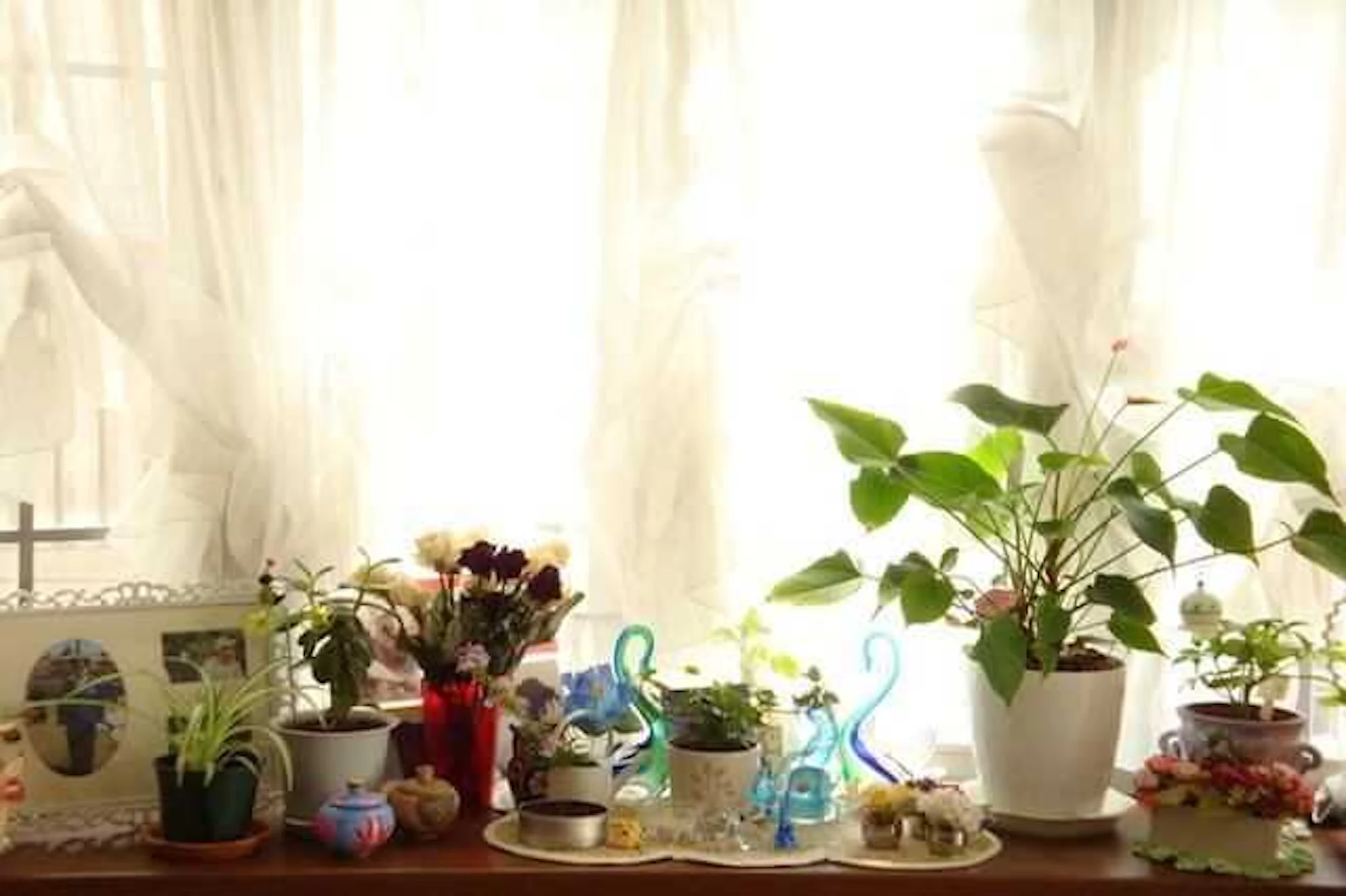 写真立てを飾る