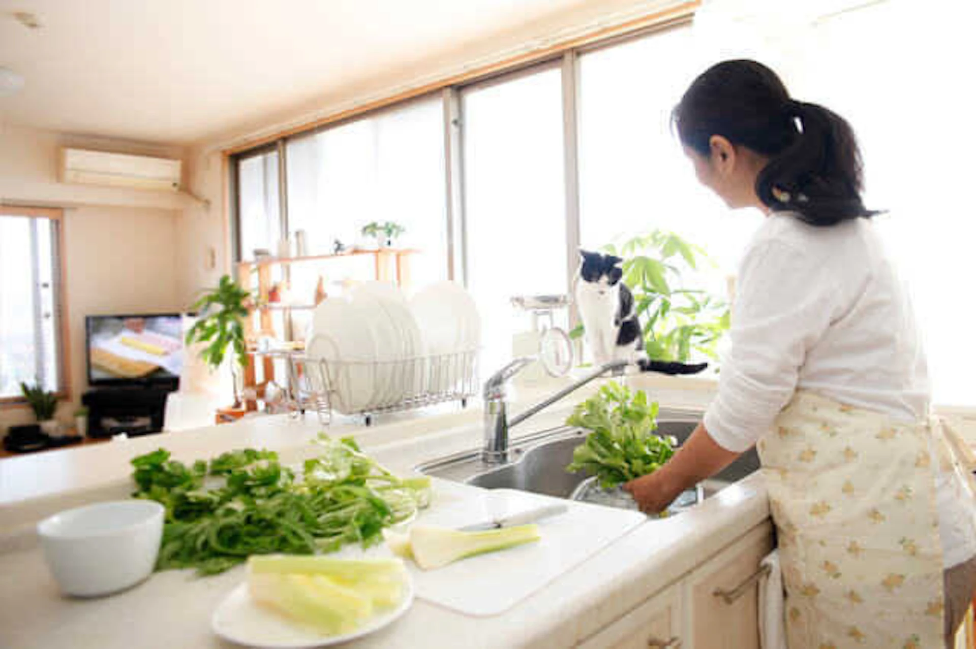 【水まわり】のおすすめリフォーム