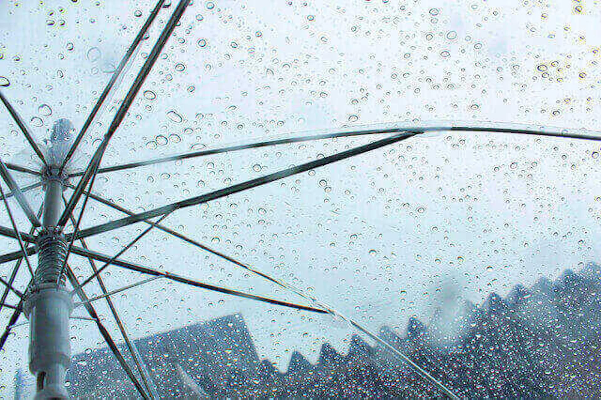 憧れの"天窓(トップライト)" がある暮らし♪優しい光が魅力的