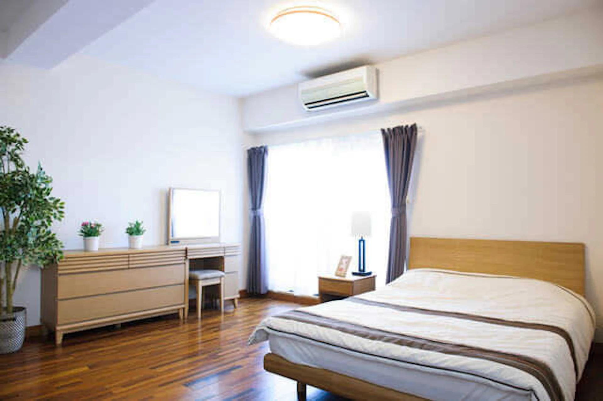 天井は無地で、壁より少し暗めの色を