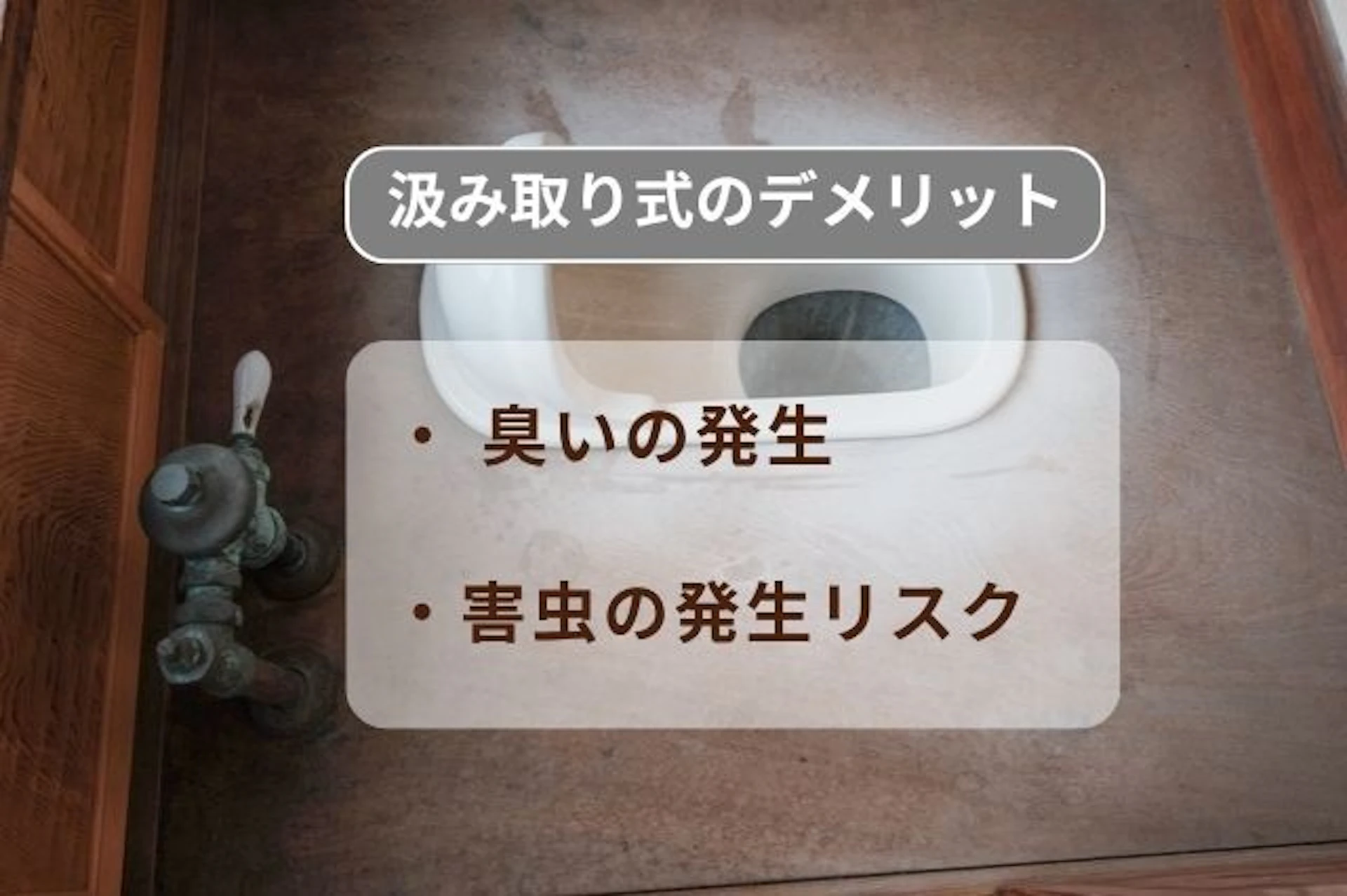 汲み取り式_デメリット