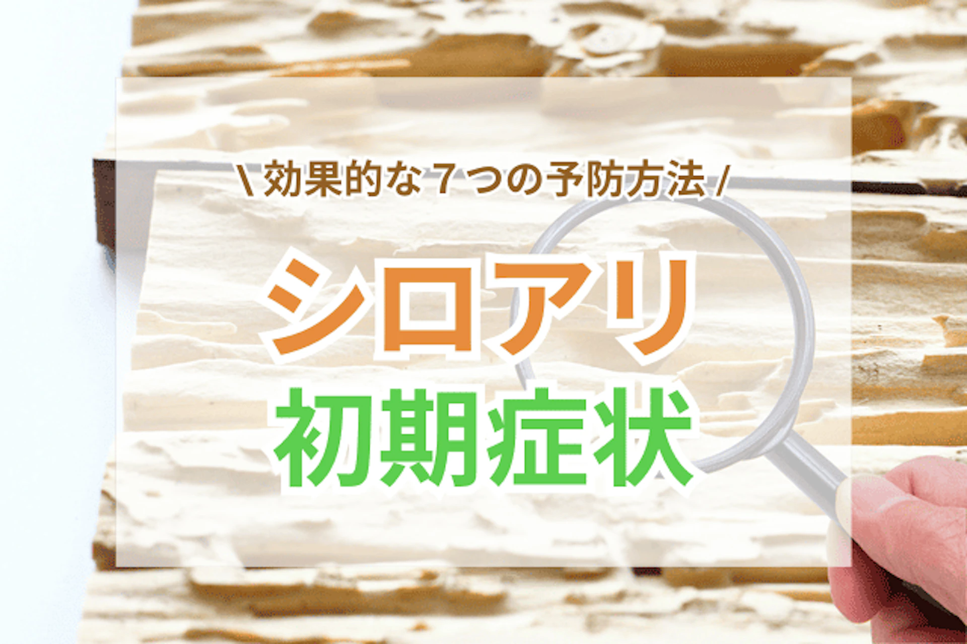サムネイル:シロアリ初期症状の見分け方と7つの対策