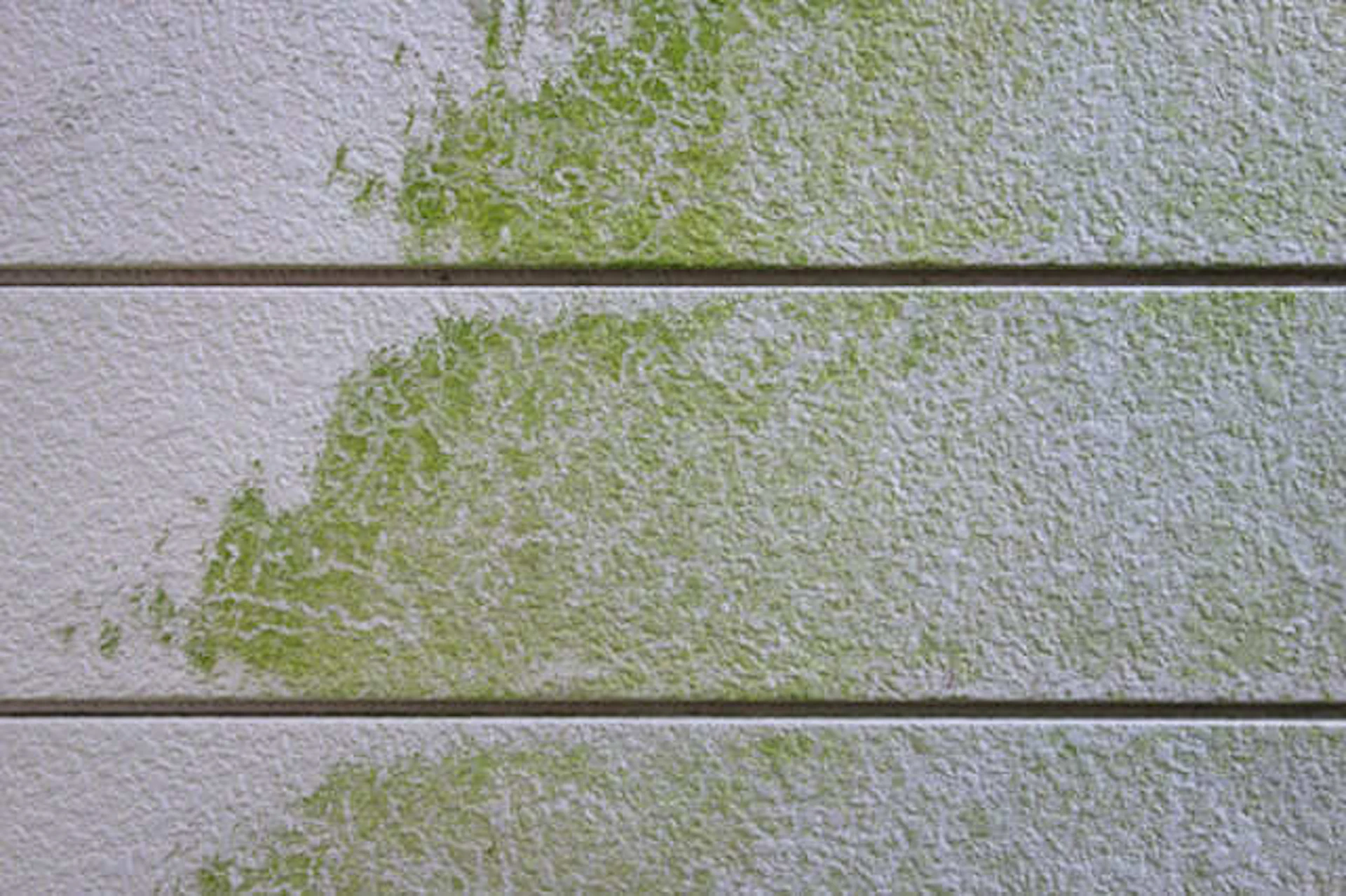 ③ コケ・カビなどの付着