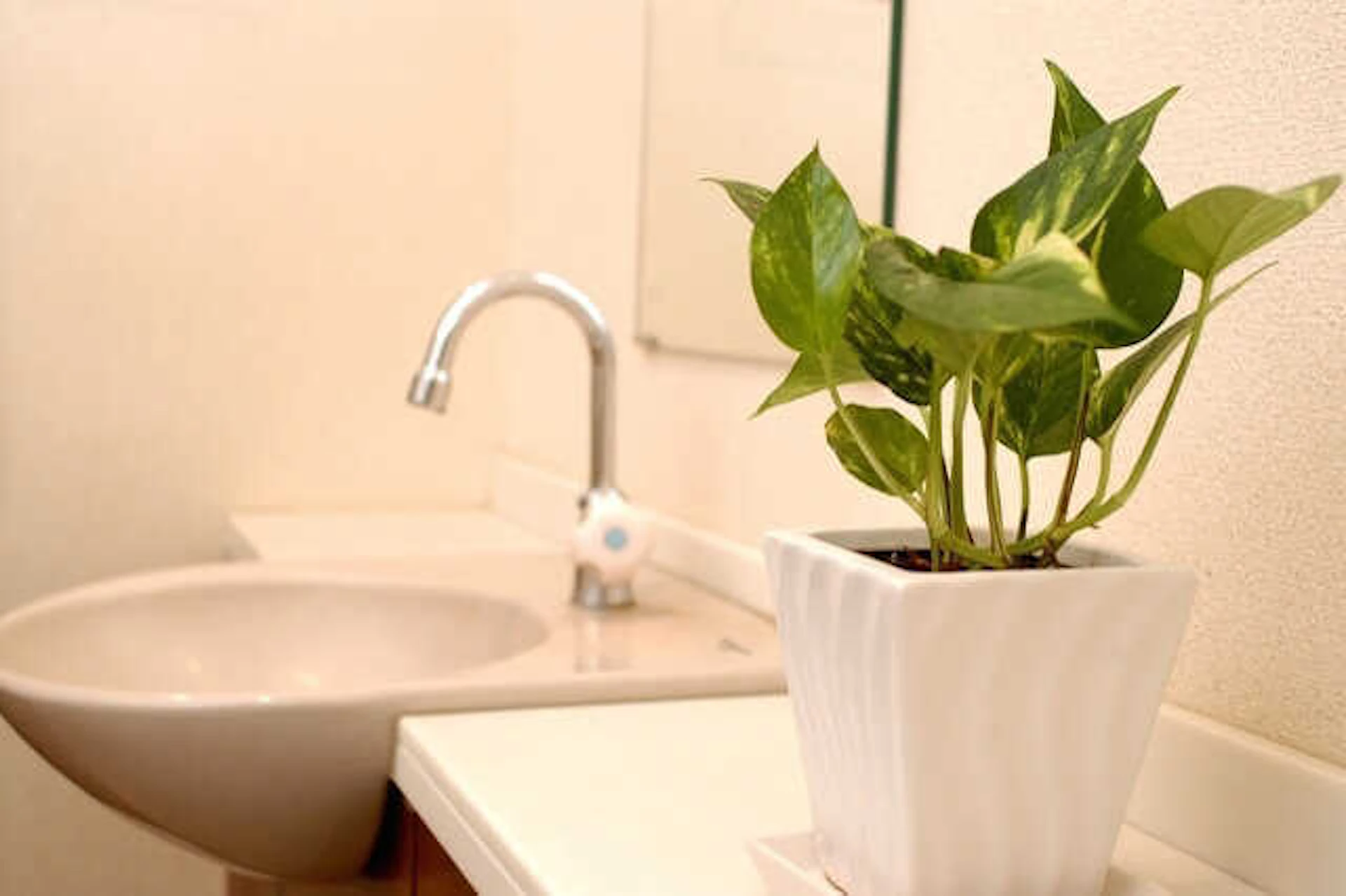 8.手洗い器があると便利