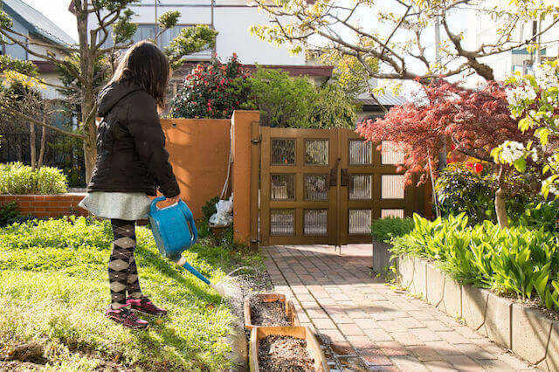 子供や犬が遊べる庭づくりのコツと注意点！ウッドデッキ・砂場などの実例やリフォーム費用も公開