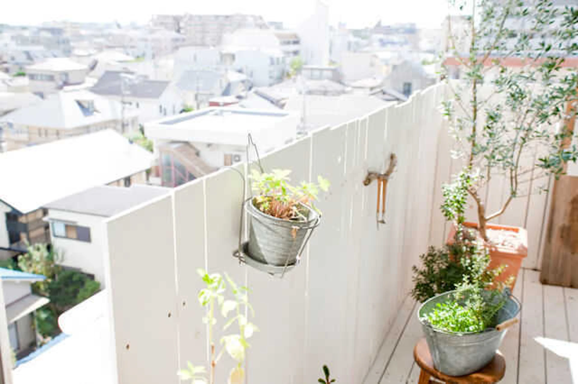 ベランダに植物を置こう