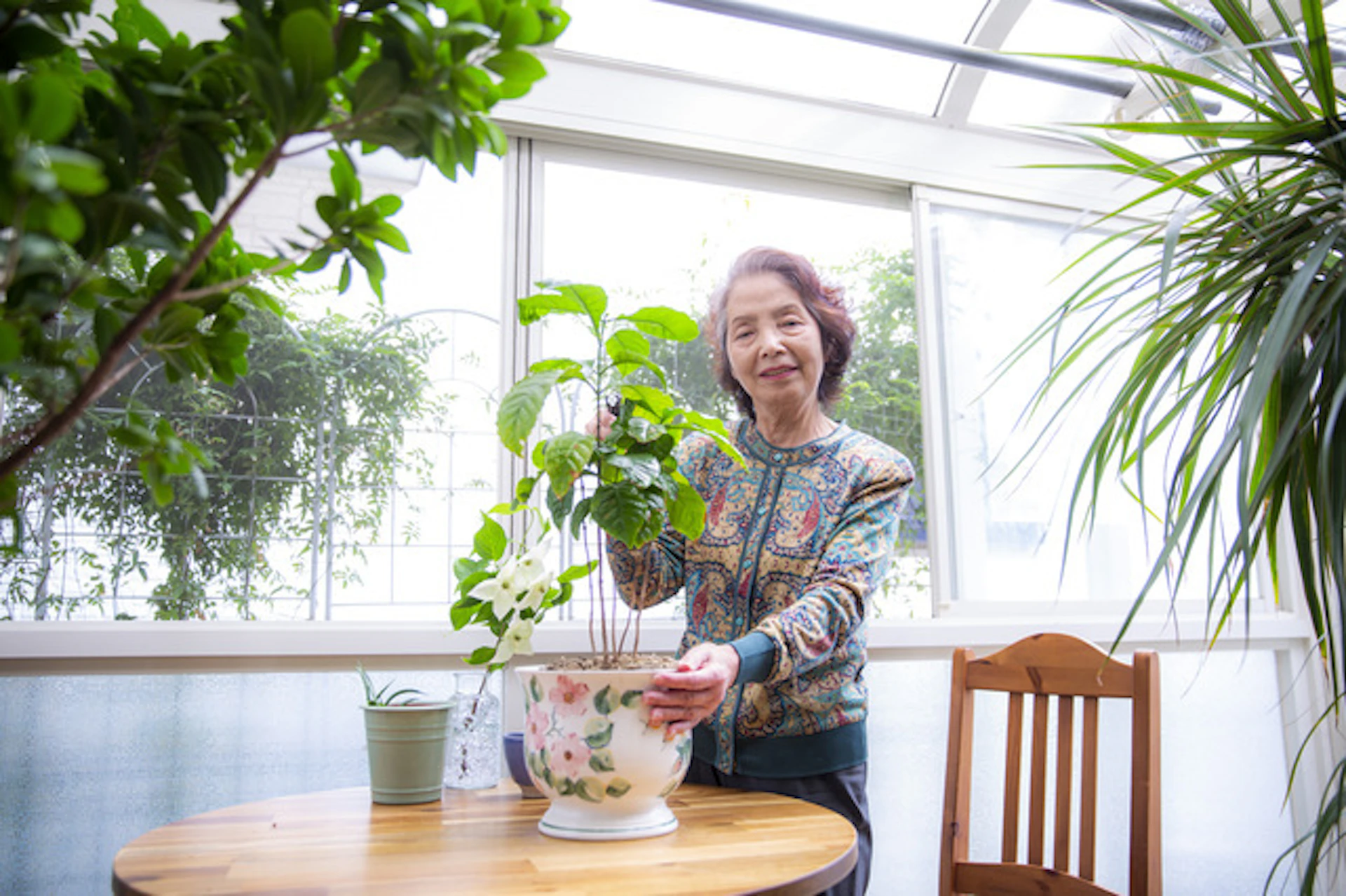 サンルームで観葉植物に囲まれている女性