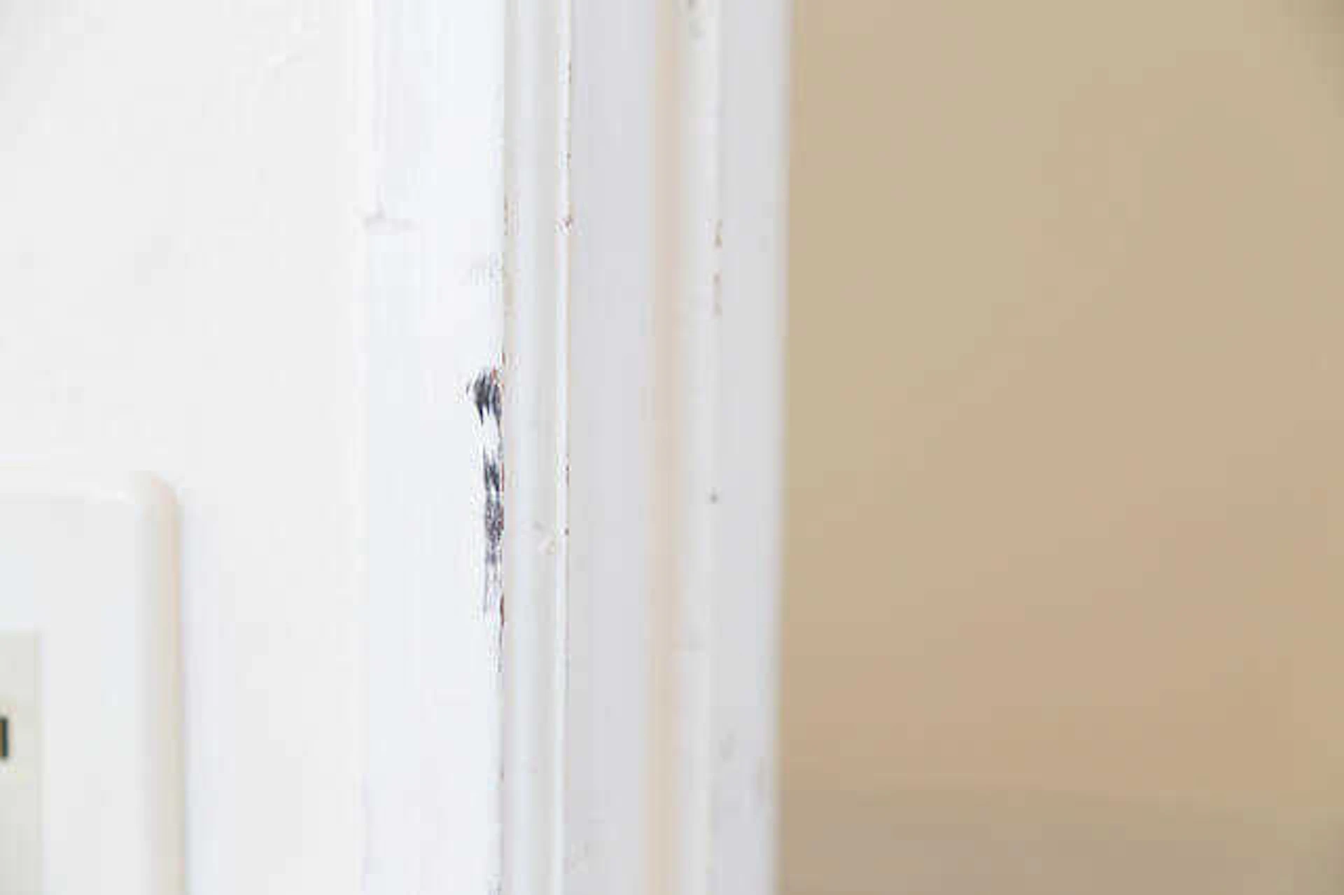 その他のチェックポイント