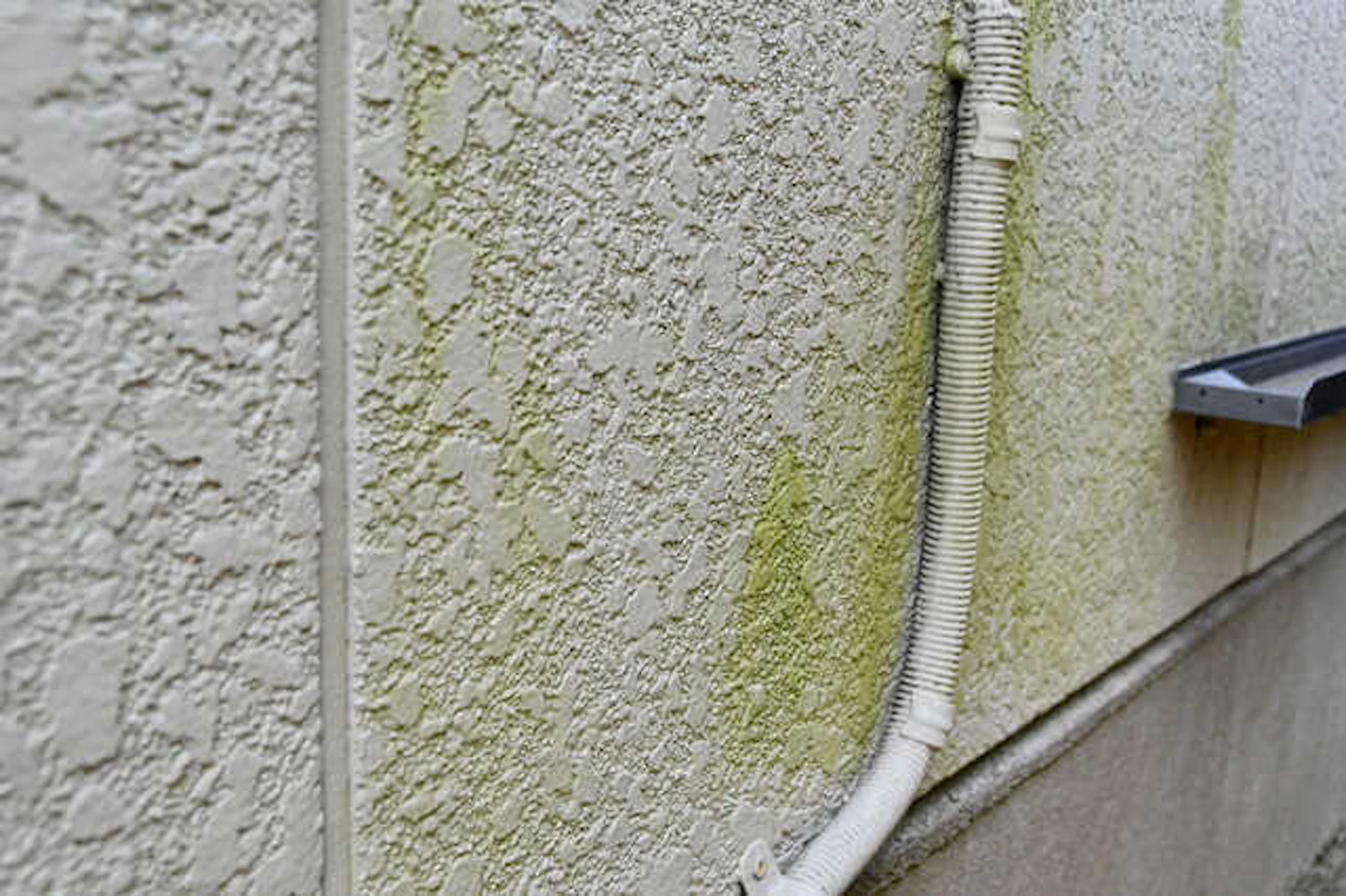 悪徳リフォームの主な対象は、外壁・屋根・床下(シロアリ)・耐震・排水周り