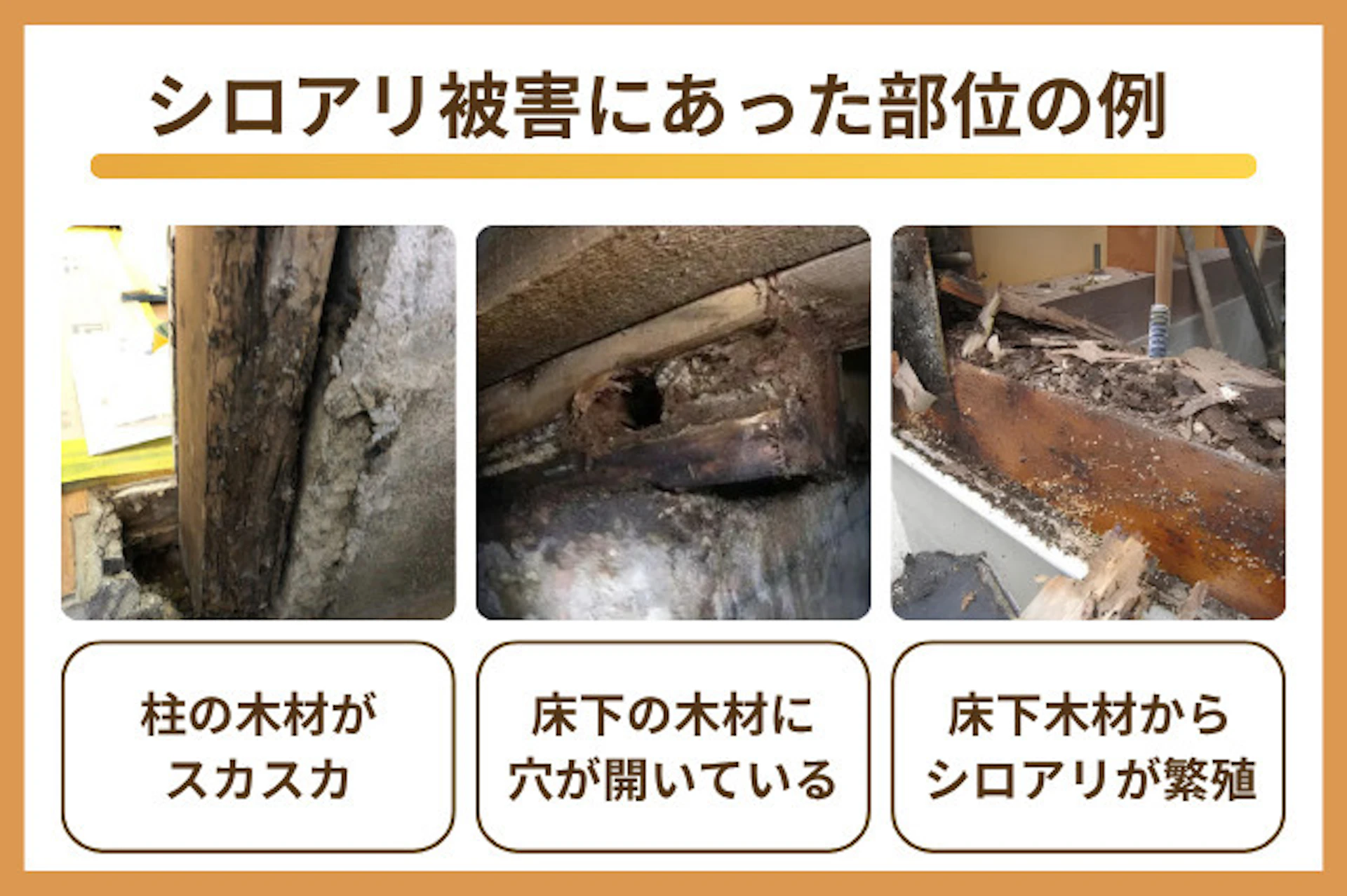 家の床・柱・壁などに現れる異変