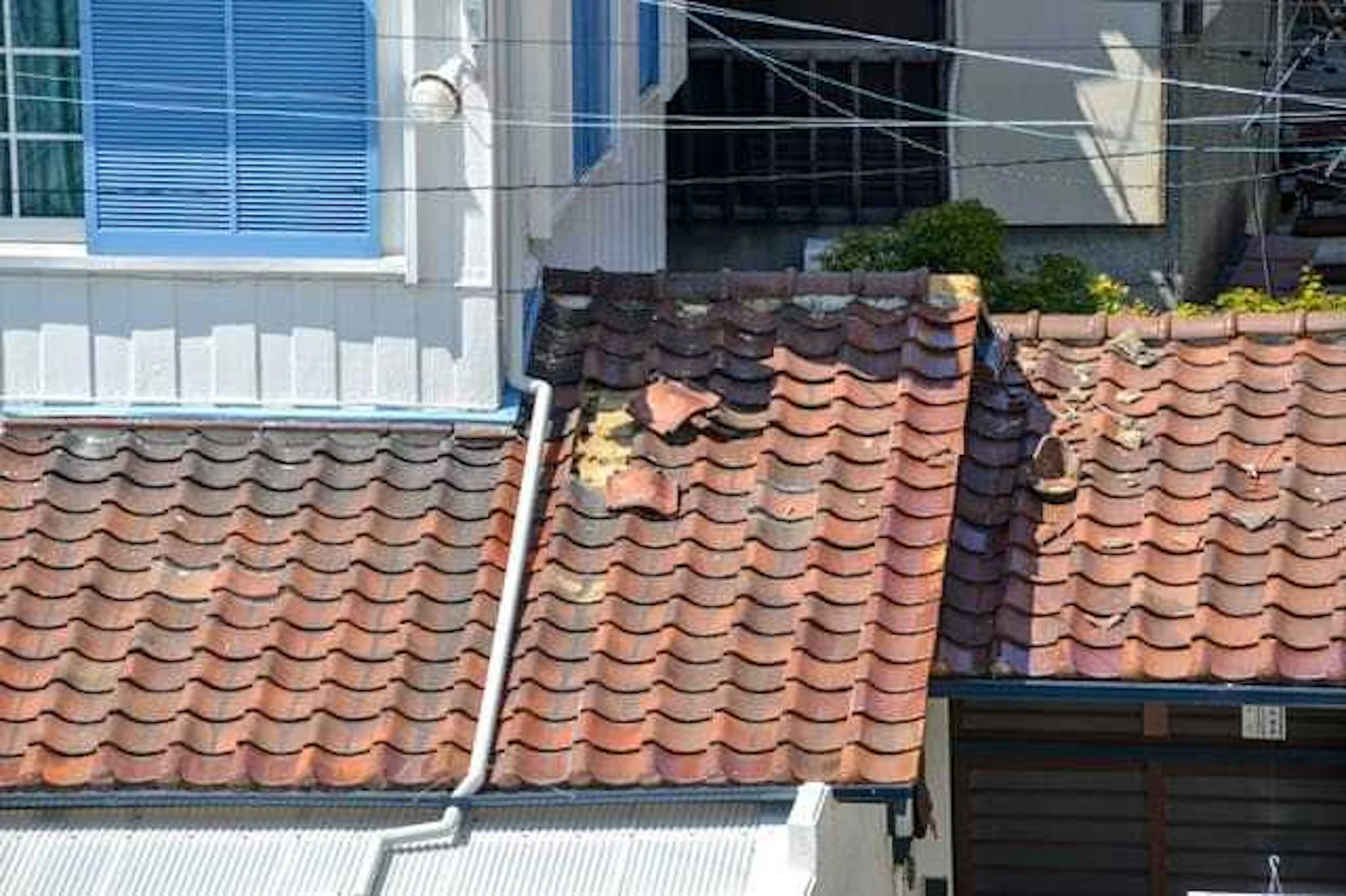 防災瓦は本当に地震/台風に強い?種類・価格・リフォーム事例を解説!