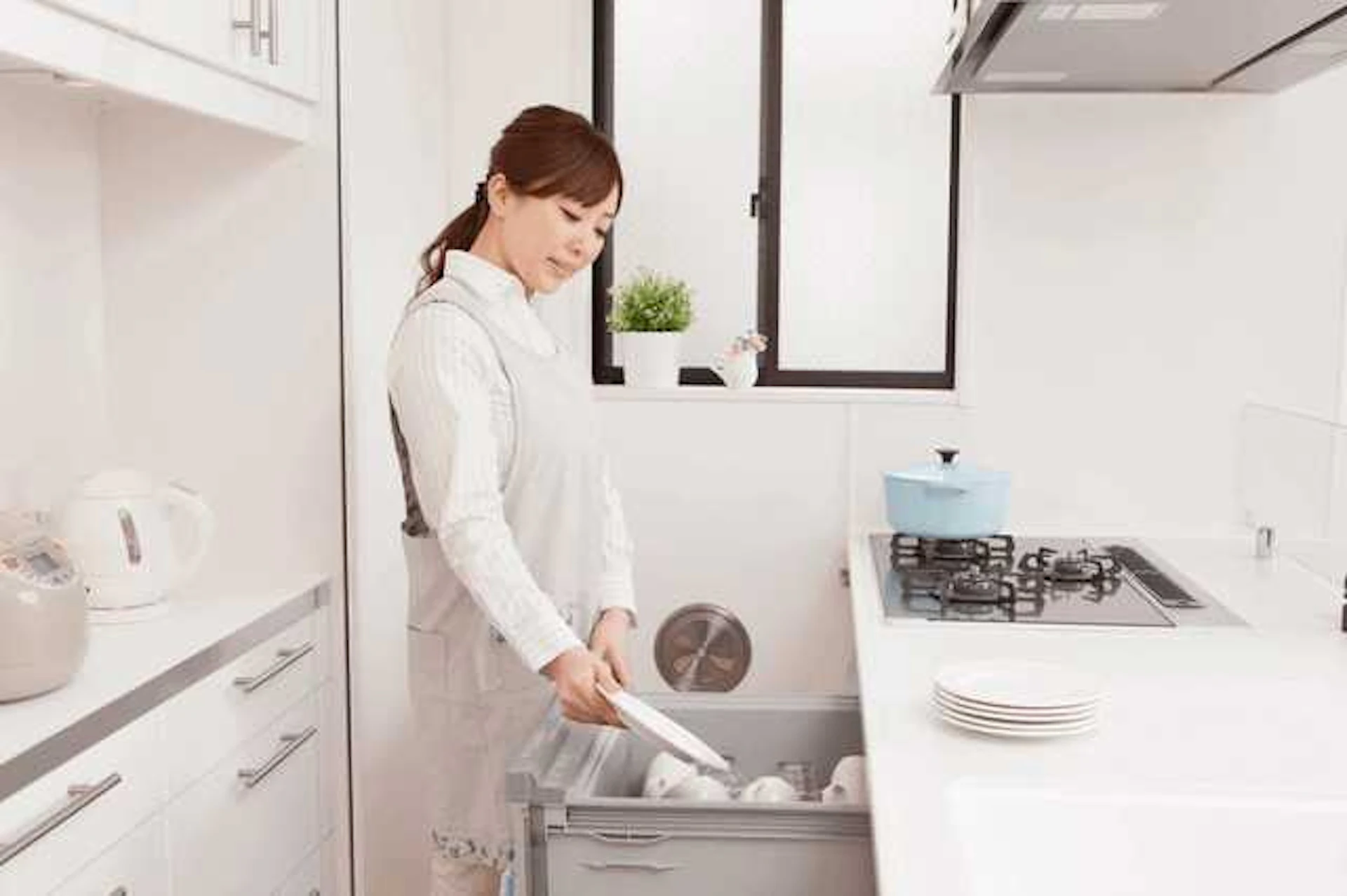 ビルトインタイプの食洗機の特徴・価格