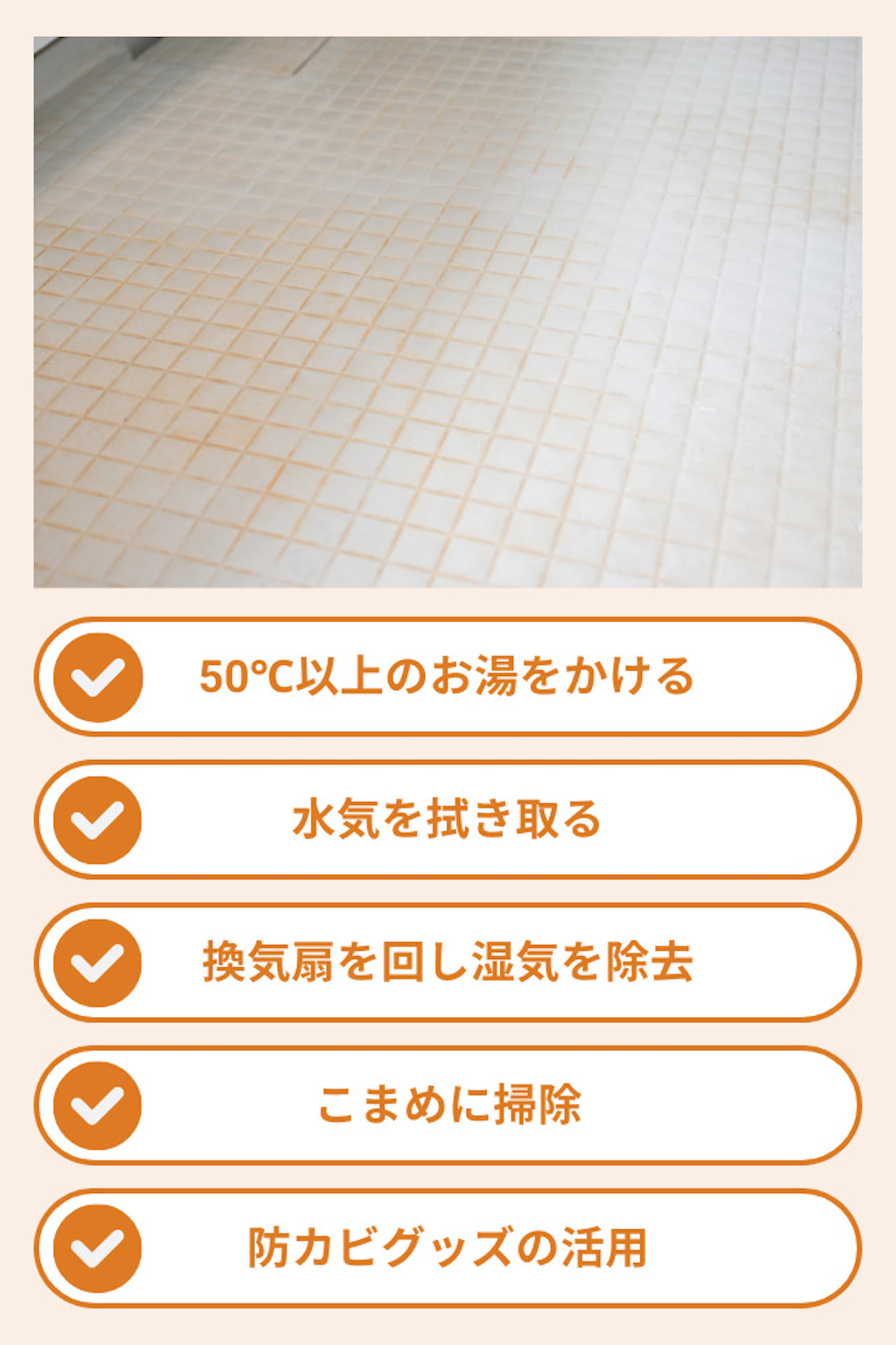 赤カビの予防対策5選