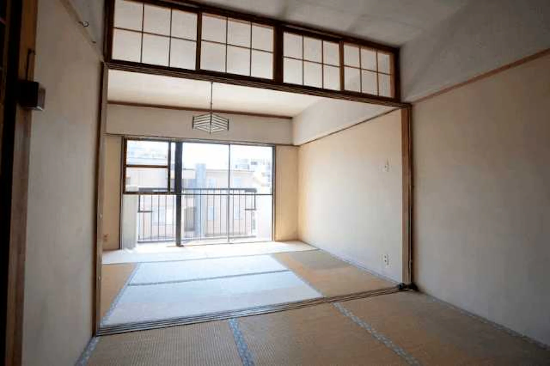 畳にダニ・カビが発生した場合の対策と注意点