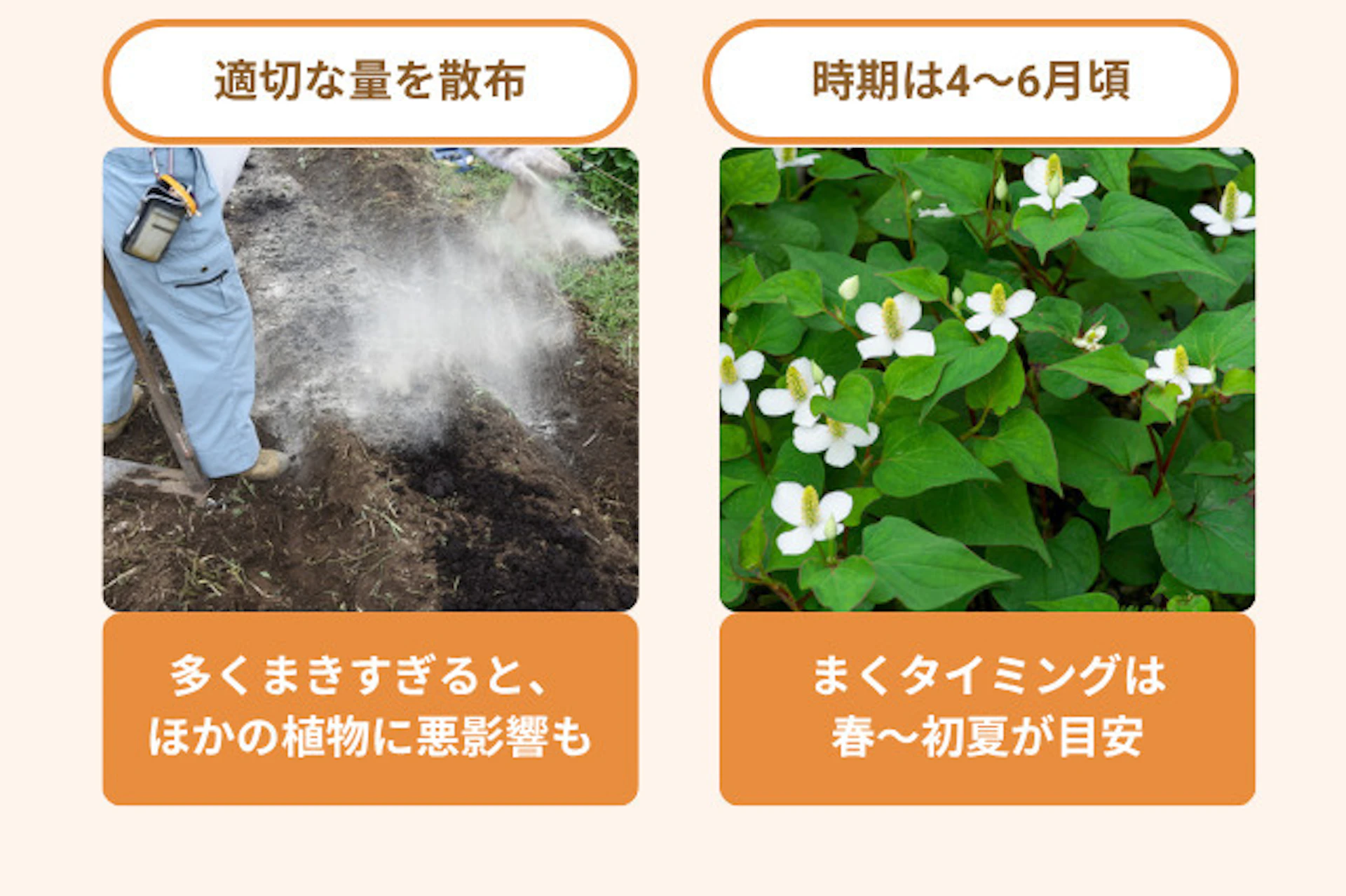 石灰を使う際の注意点