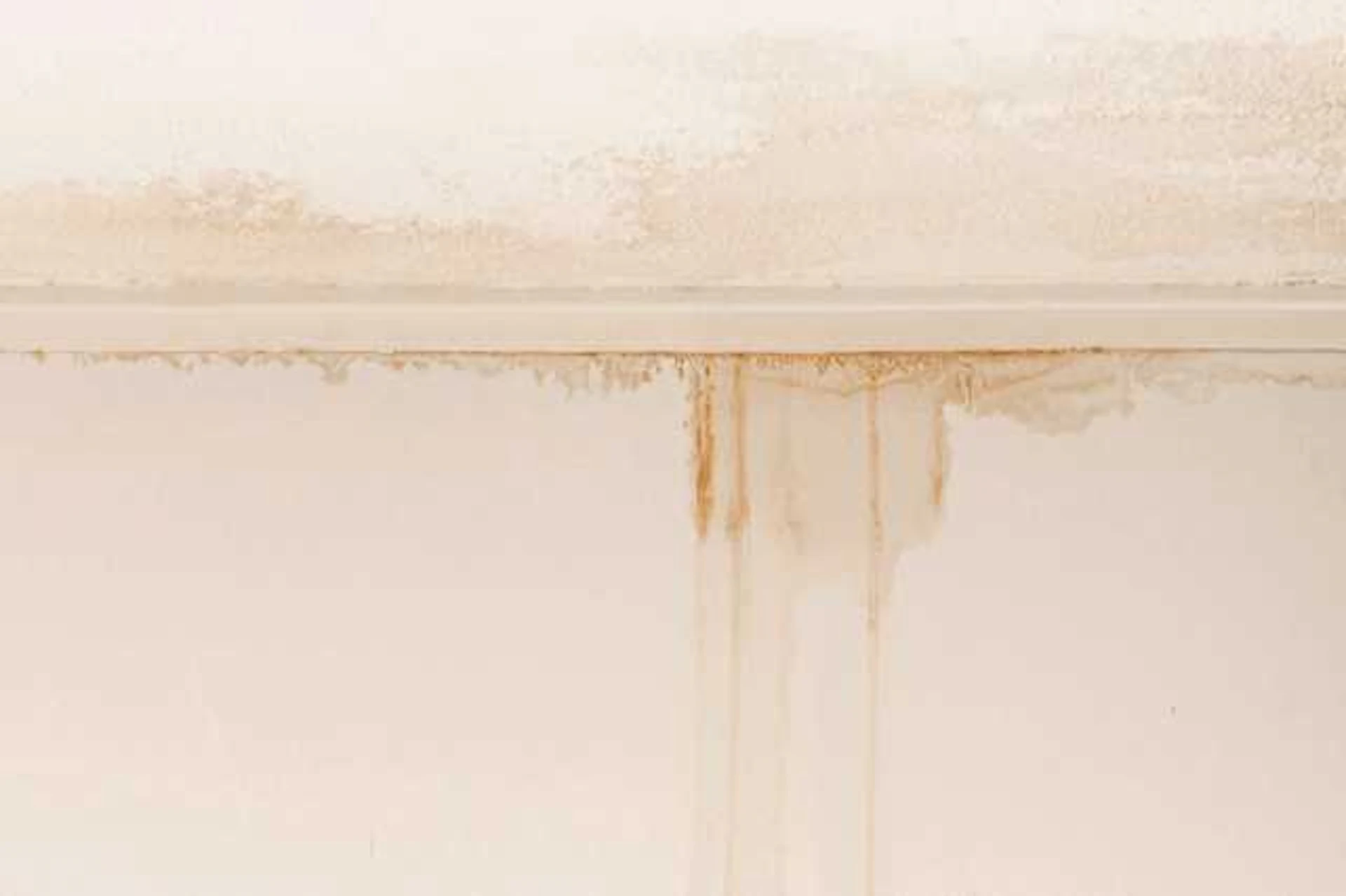 雨漏りや湿気などによる腐食の修復